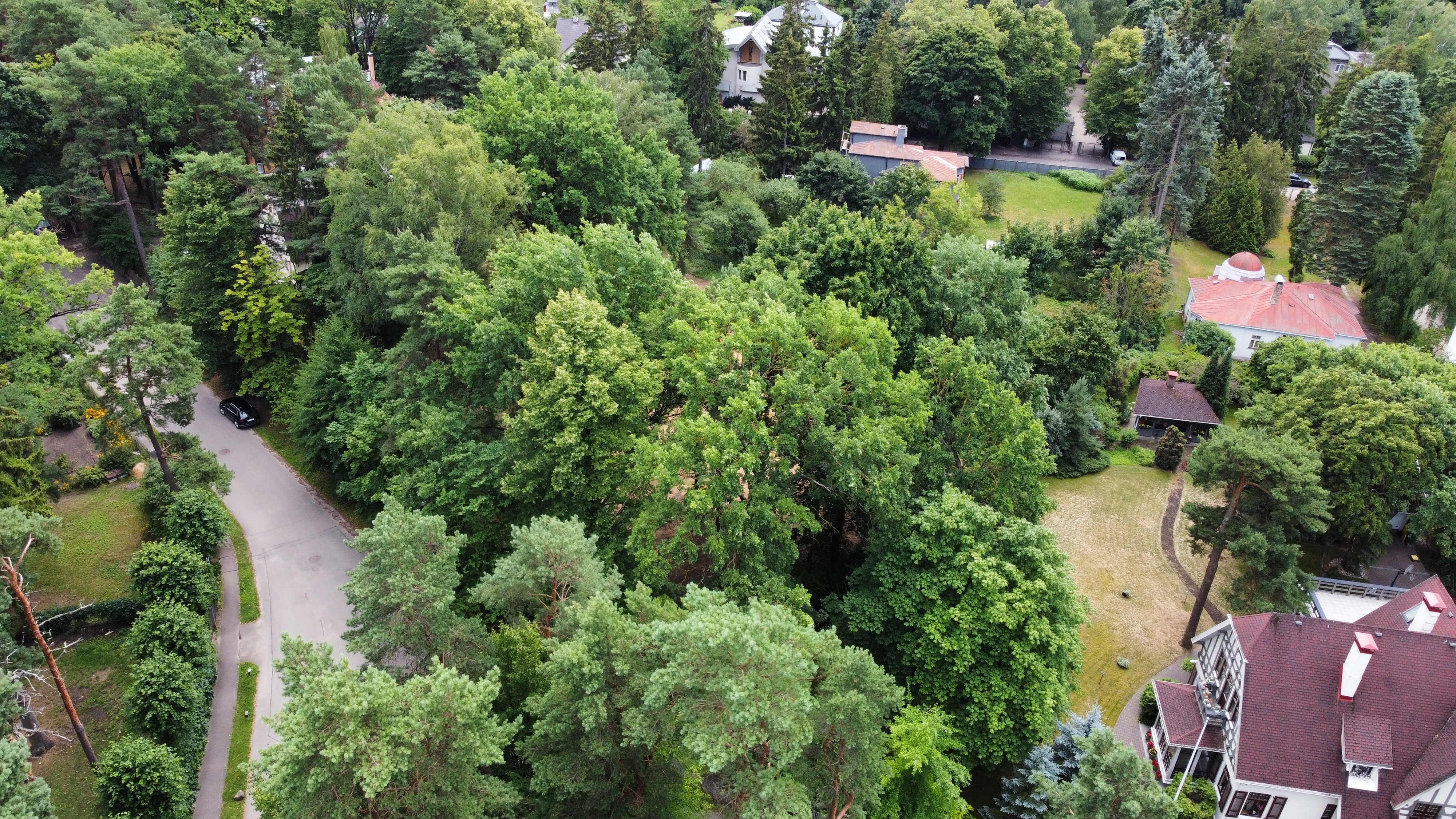 Land plot for sale, Ščecinas street - Image 1