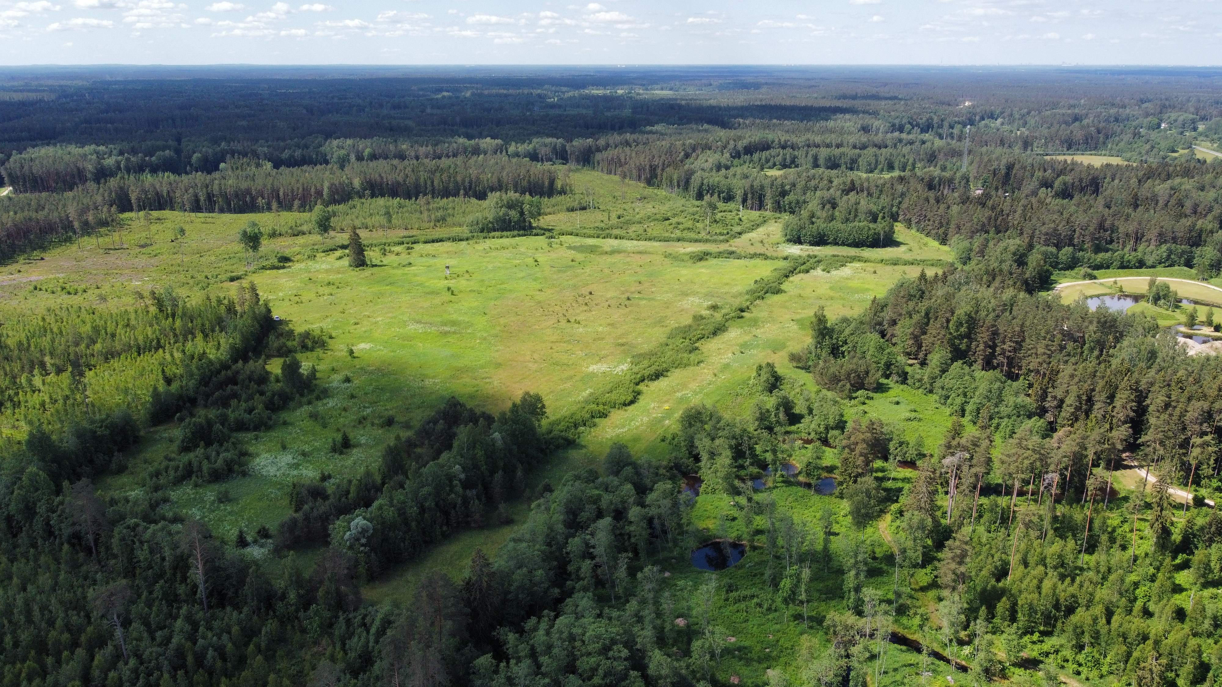 Pārdod zemi, Tumšupe - Attēls 1