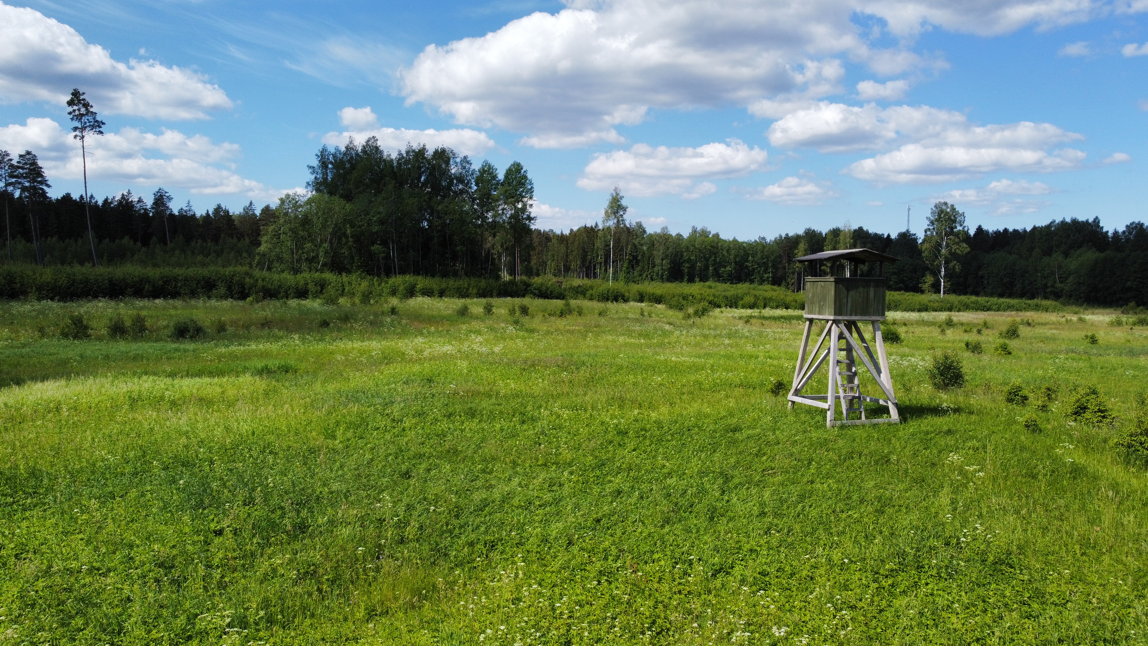 Land plot for sale, Tumšupe - Image 1