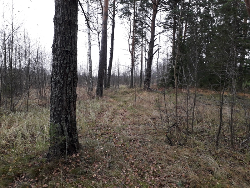 Land plot for sale, Ezermalas - Image 1