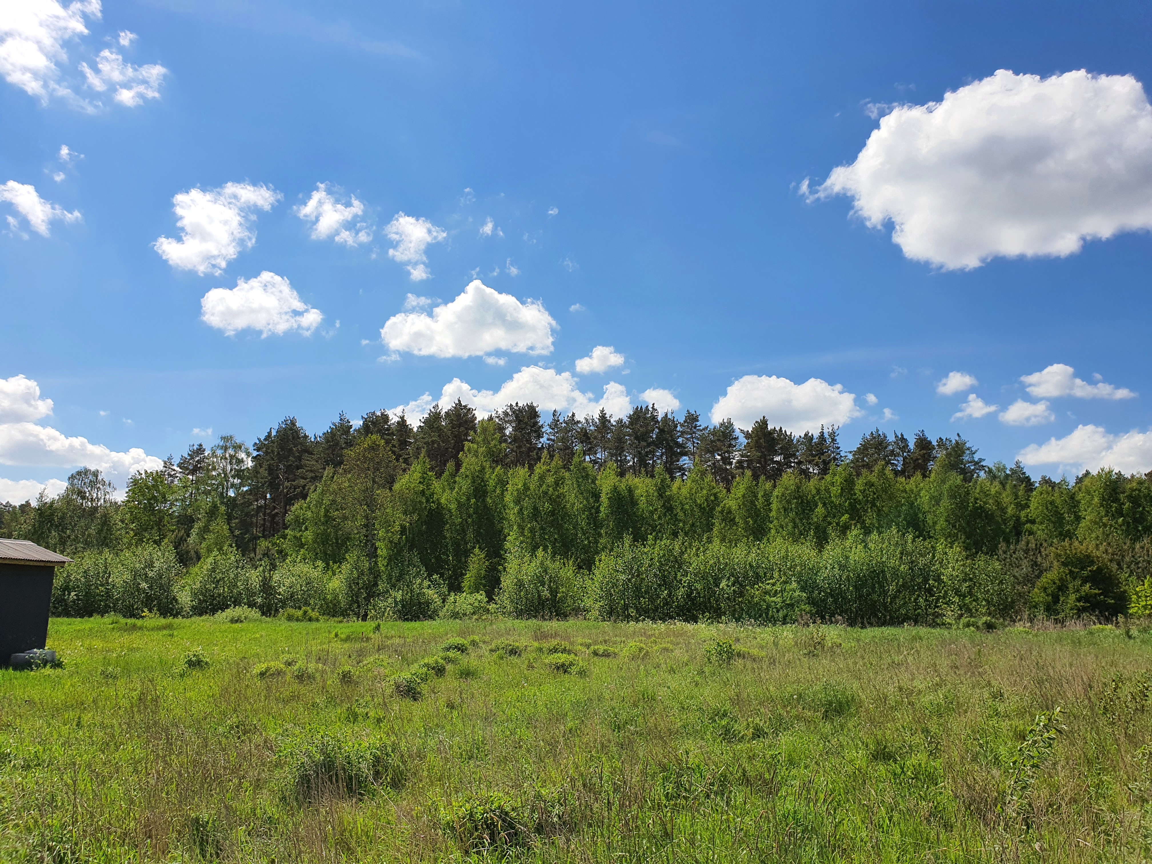 Land plot for sale, Mežs - Image 1