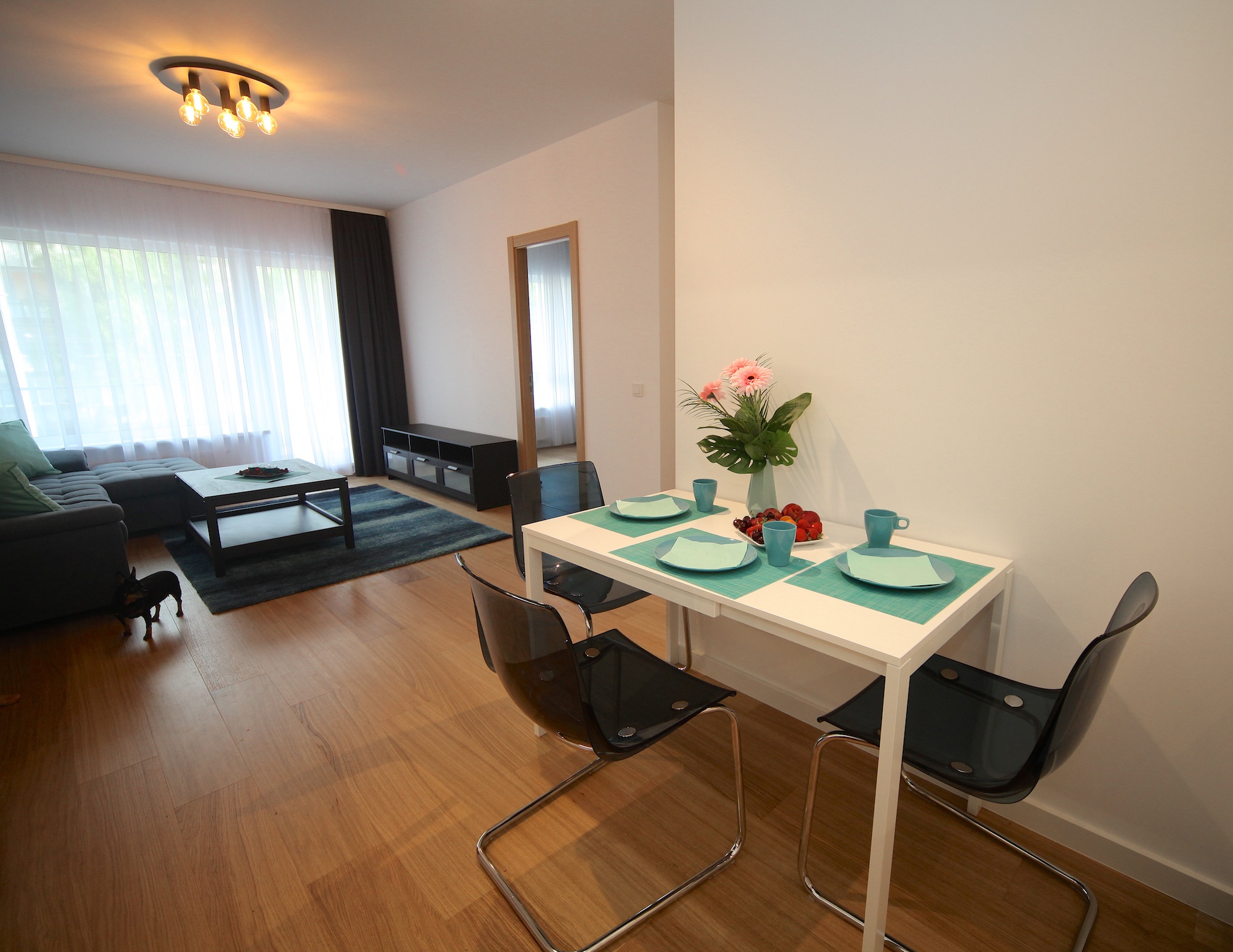 Apartment for rent, Ropažu street 14a - Image 1
