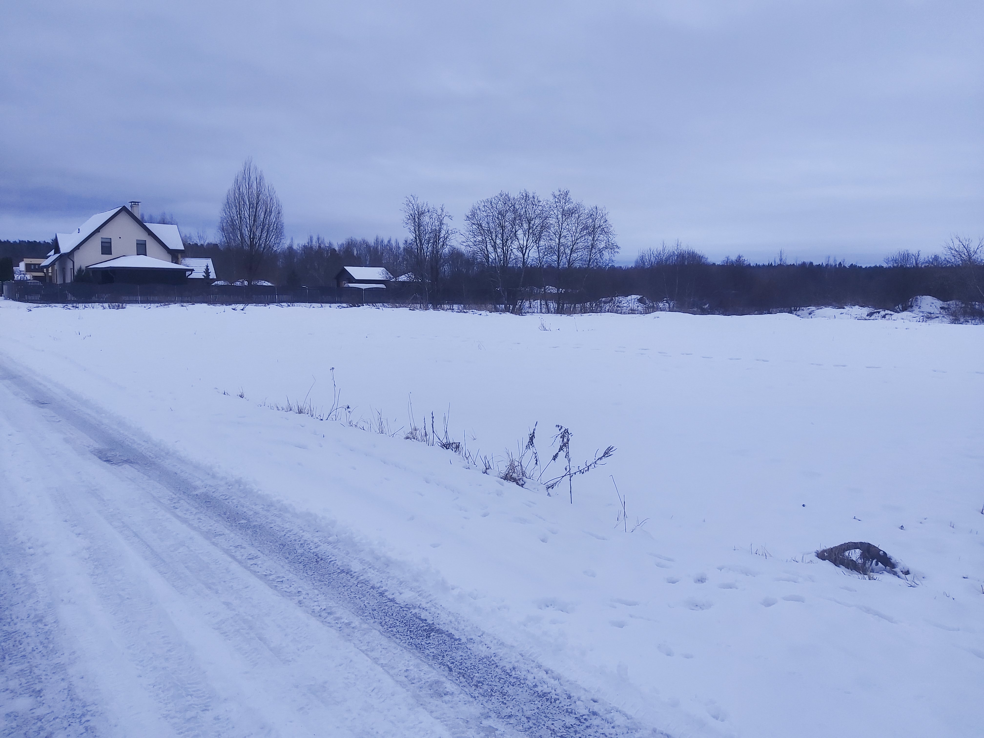 Pārdod zemi, Dzirnezera iela - Attēls 1