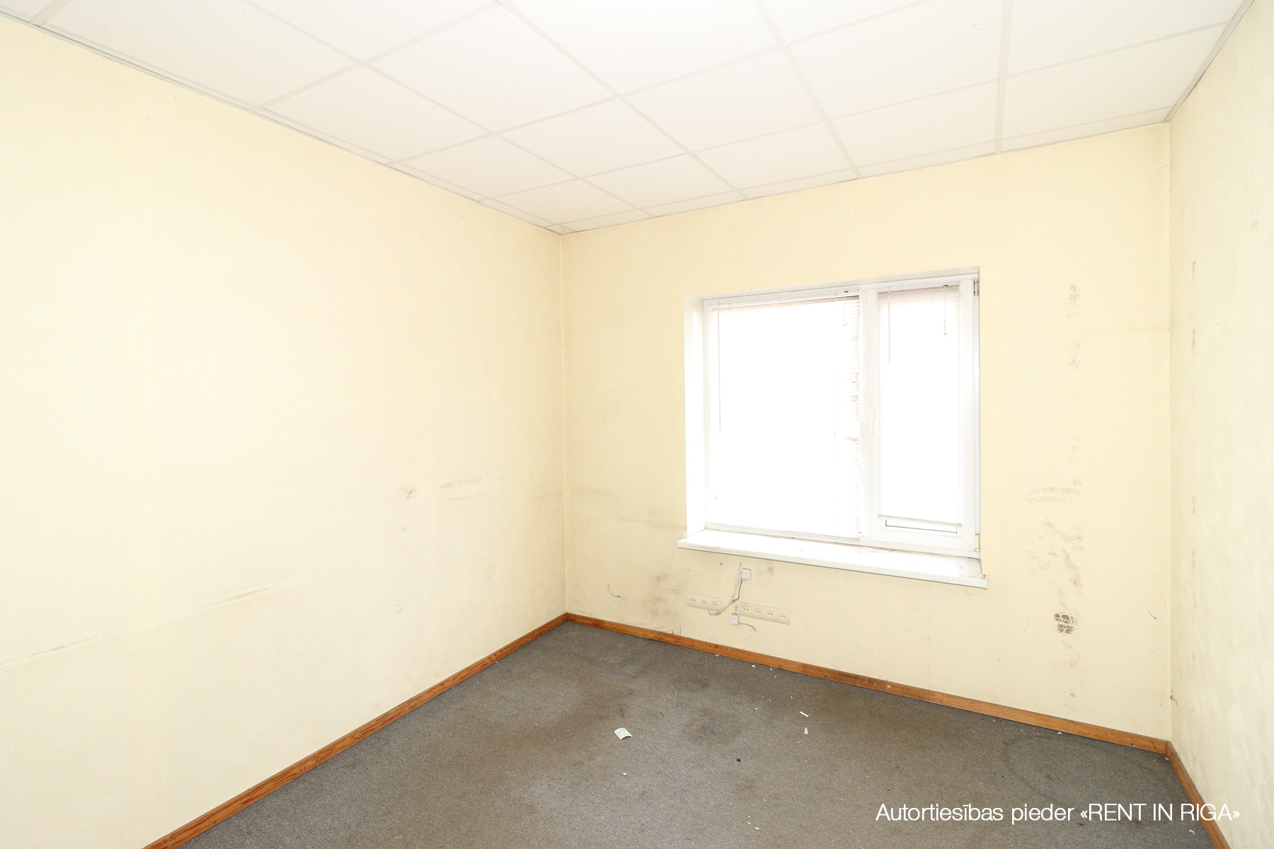 Office for rent, Barona street - Image 1