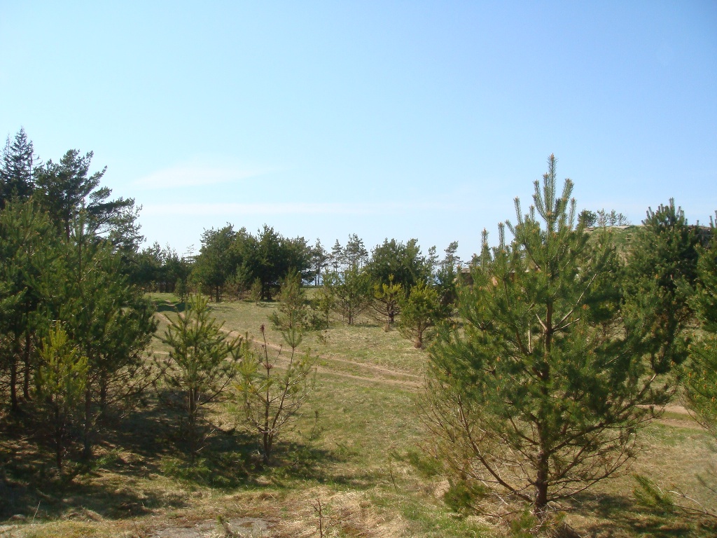 Land plot for sale, Raķešnieki - Image 1