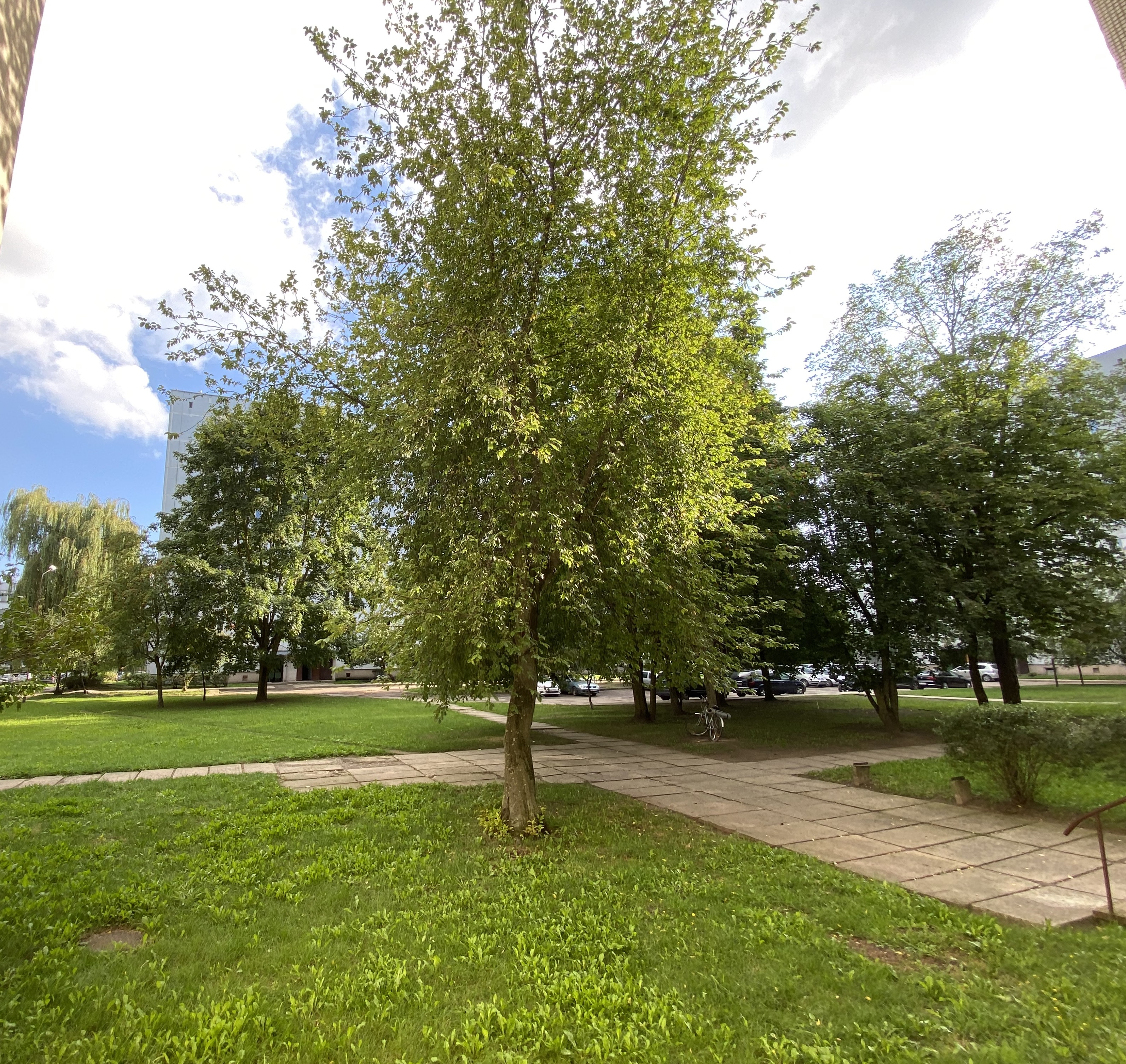 Apartment for sale, Loka Maģistrāle 13 - Image 1