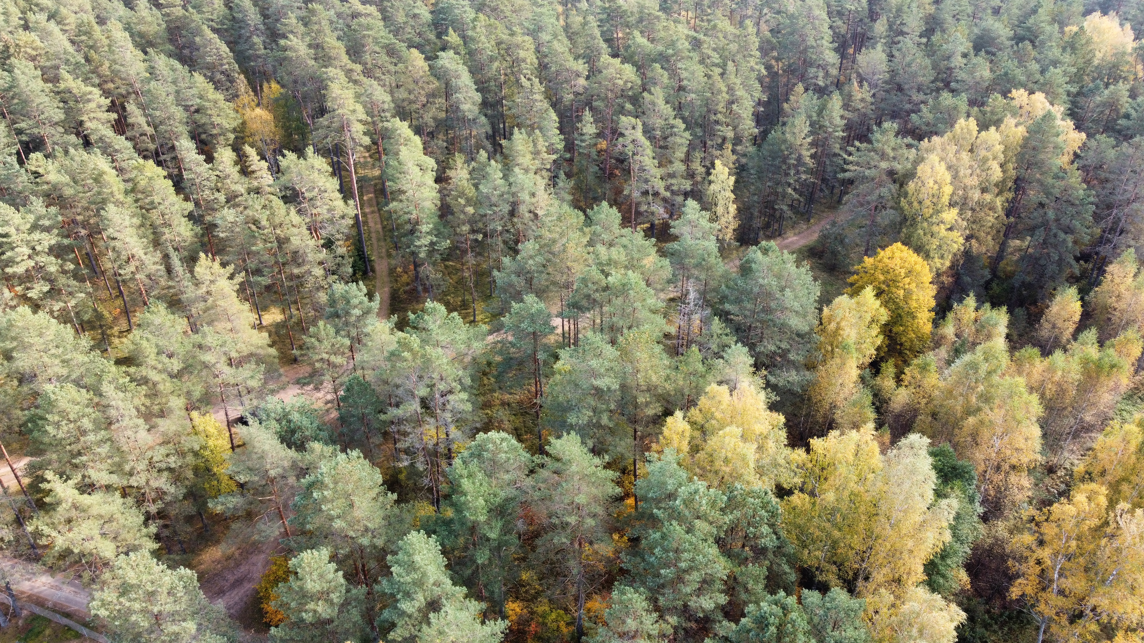 Pārdod zemi, Austrumu iela - Attēls 1