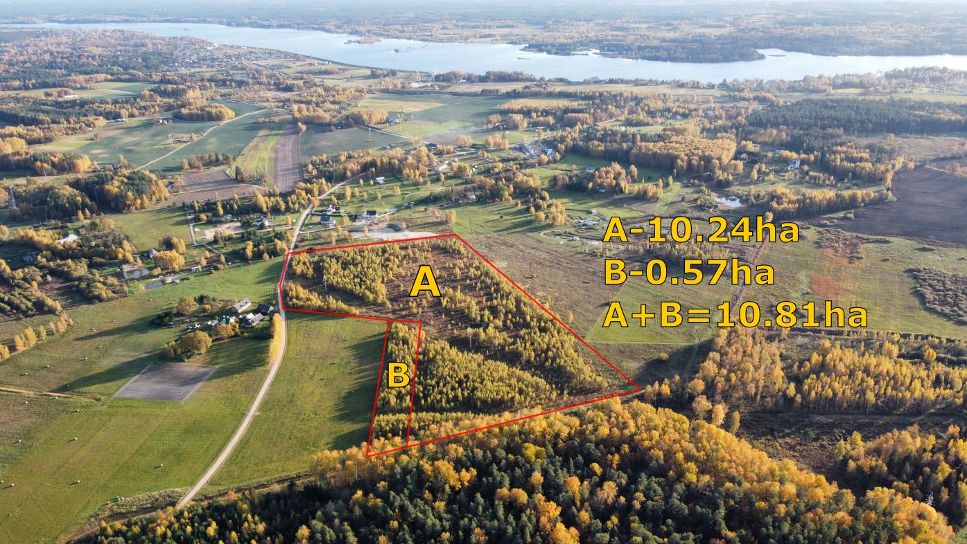 Land plot for sale, B/n - Image 1