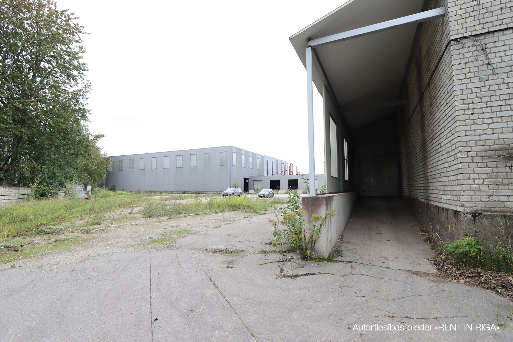 Industrial premises for rent, Zārdu street - Image 1