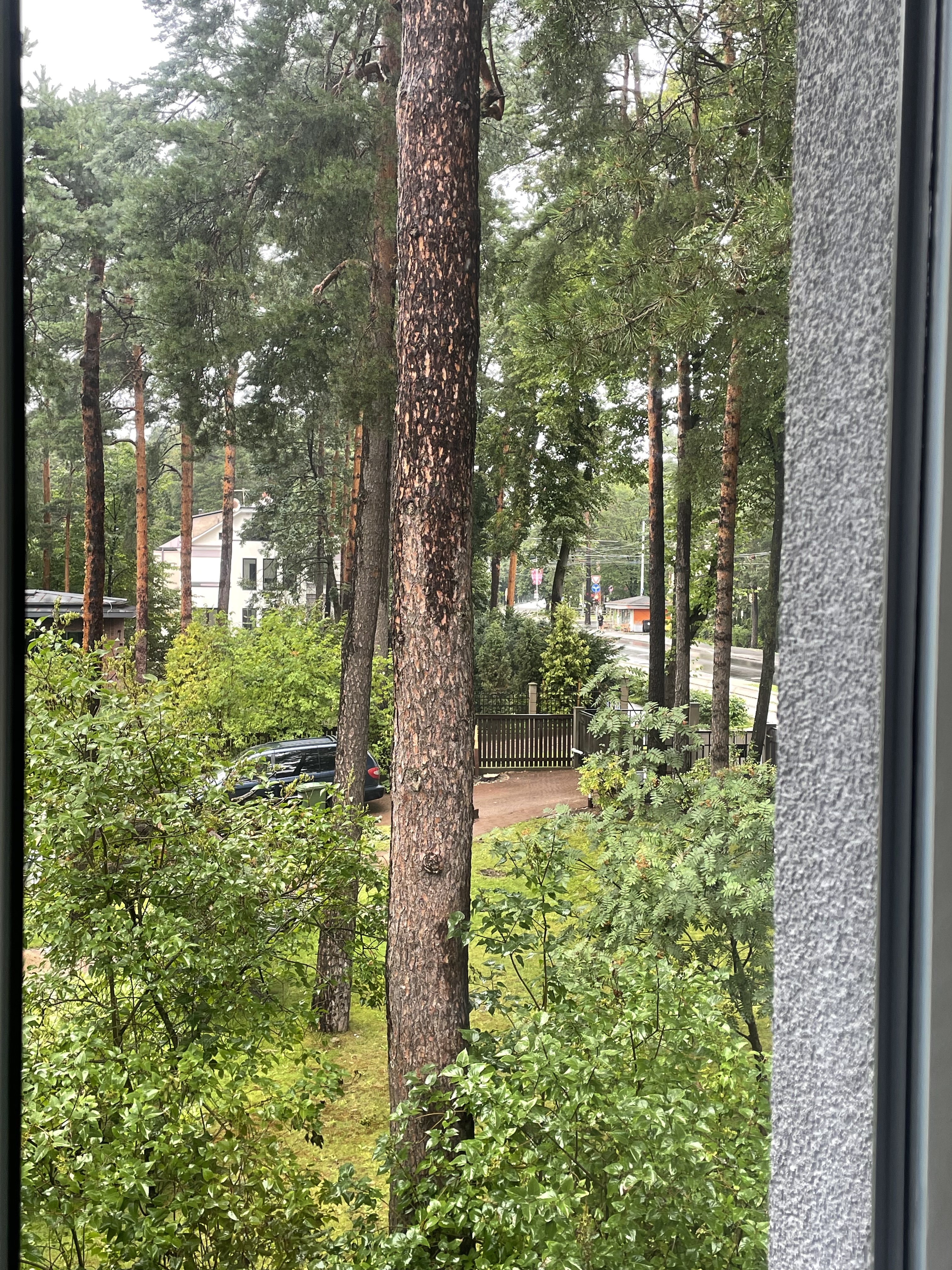 Izīrē dzīvokli, Kokneses prospekts iela 29 - Attēls 1