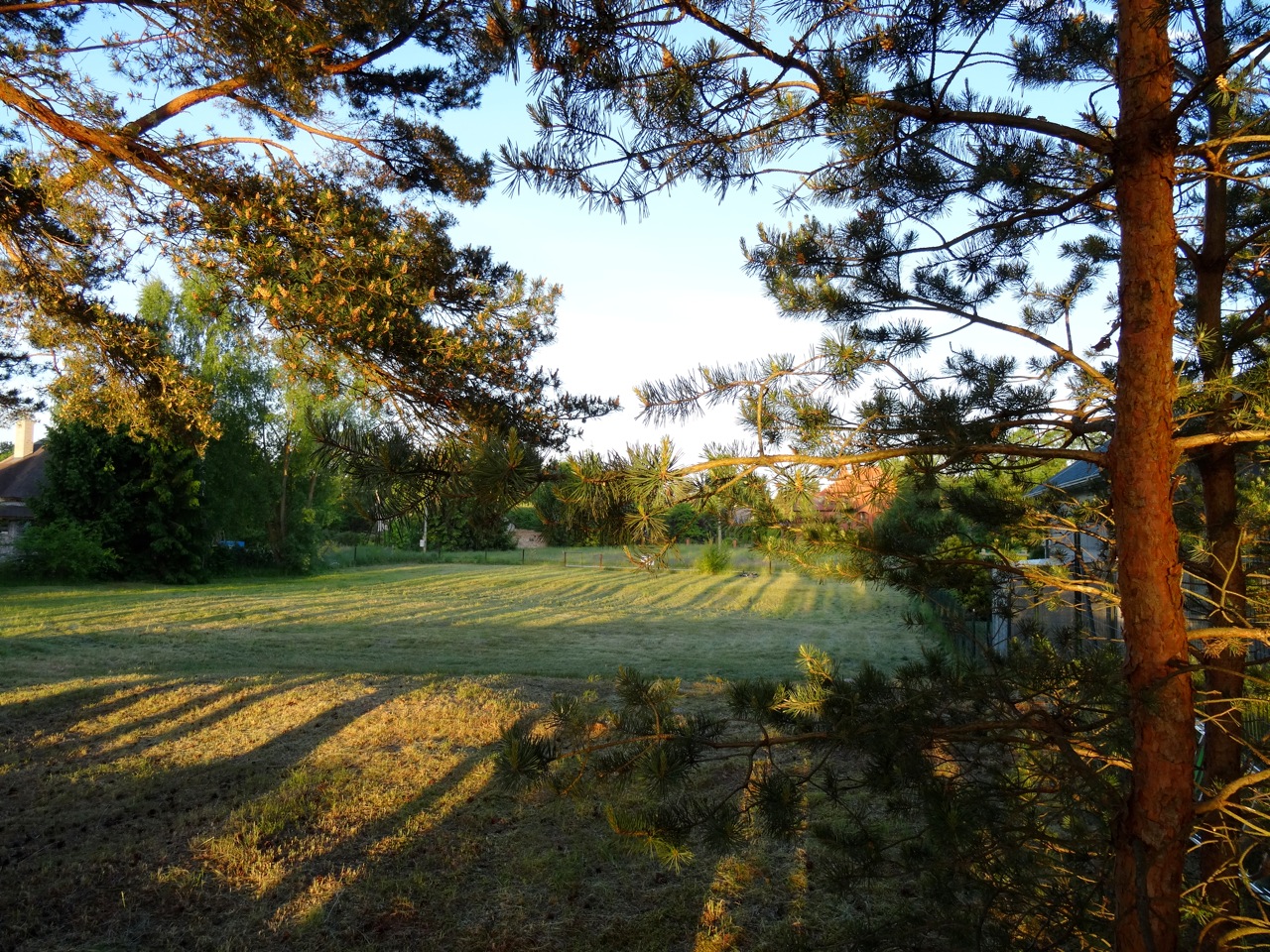 Pārdod zemi, Krastmalas - Attēls 1