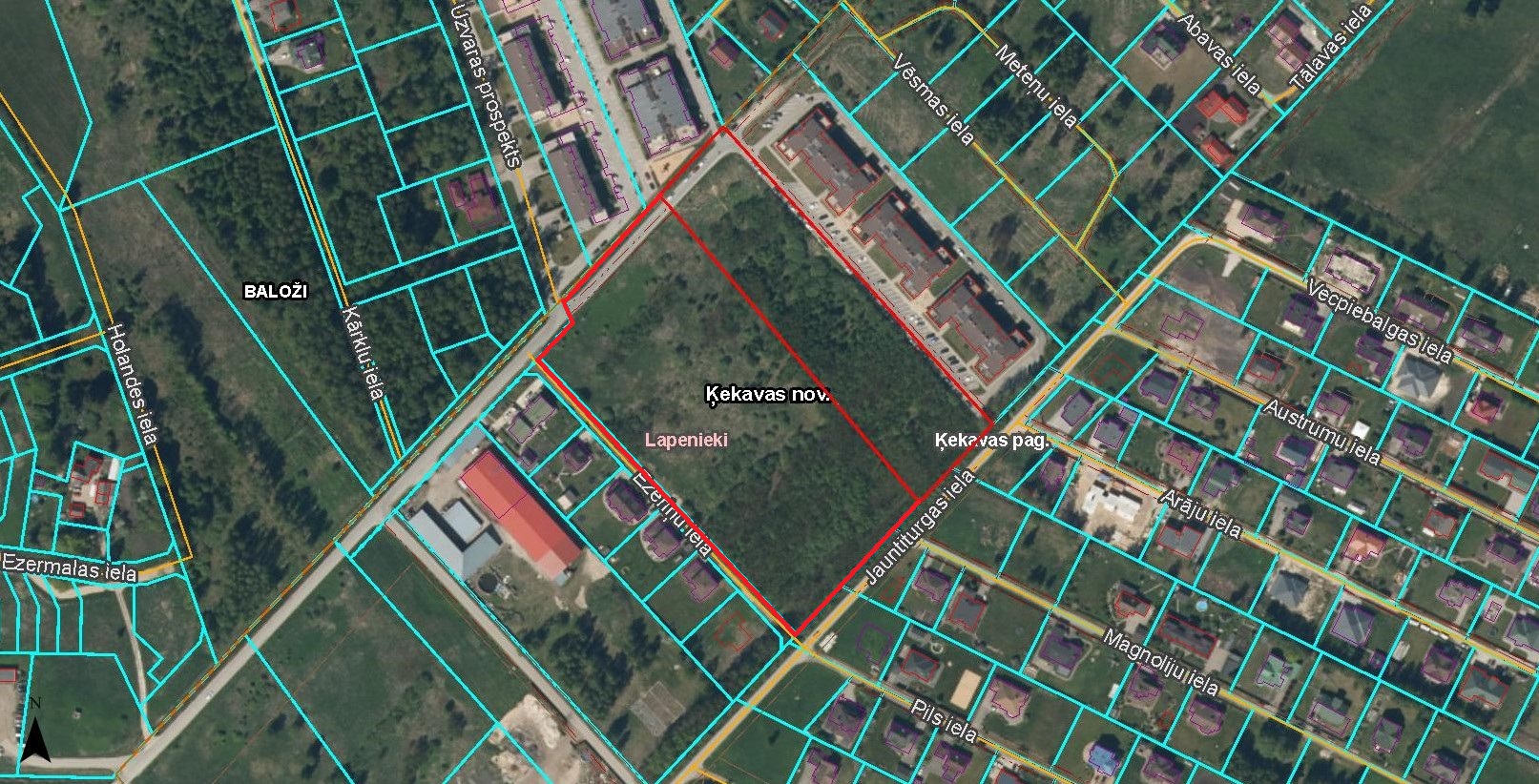 Pārdod zemi, Lapenieki Zvirbuļi - Attēls 1