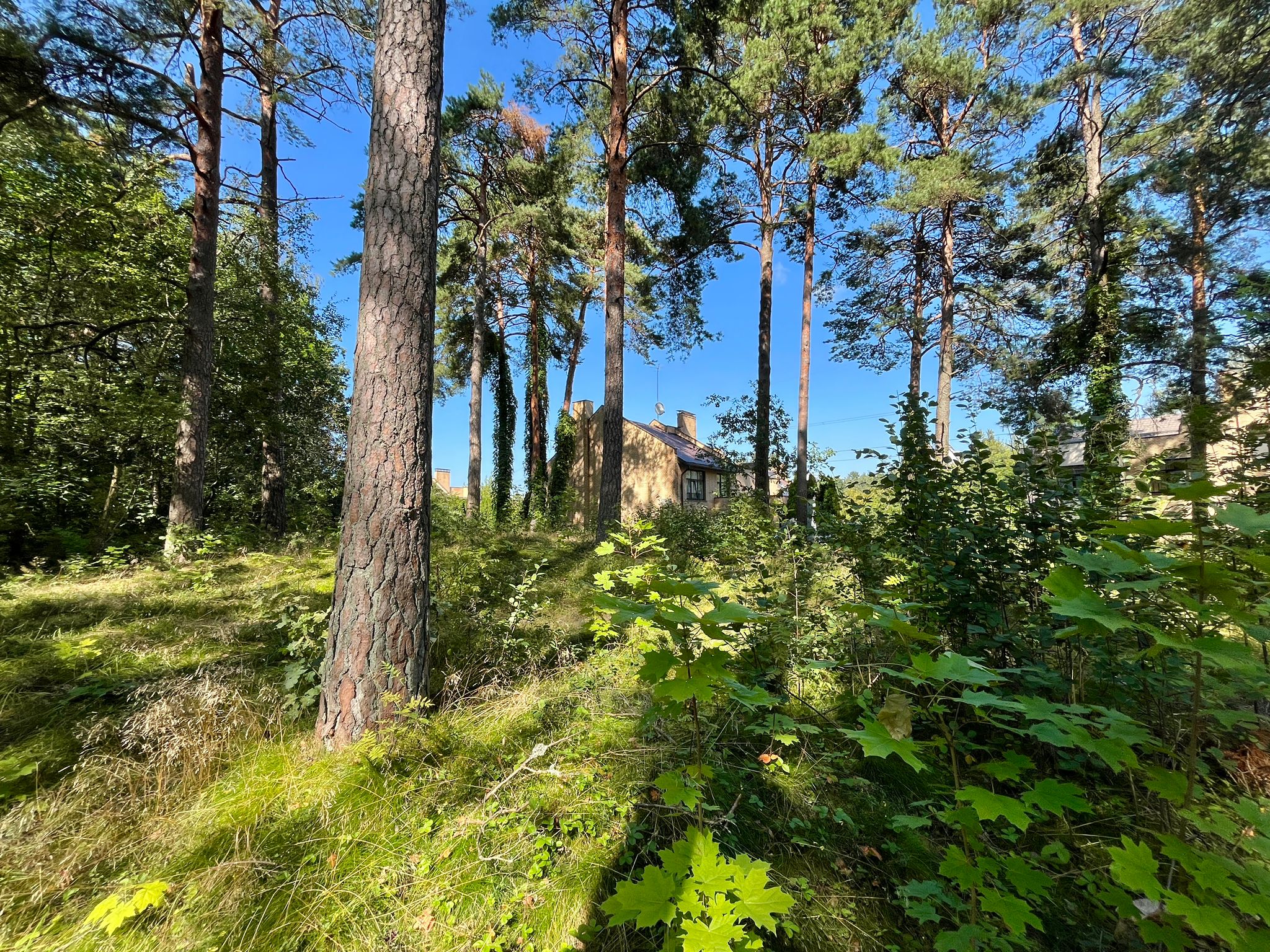 House for sale, Stāmerienas street - Image 1