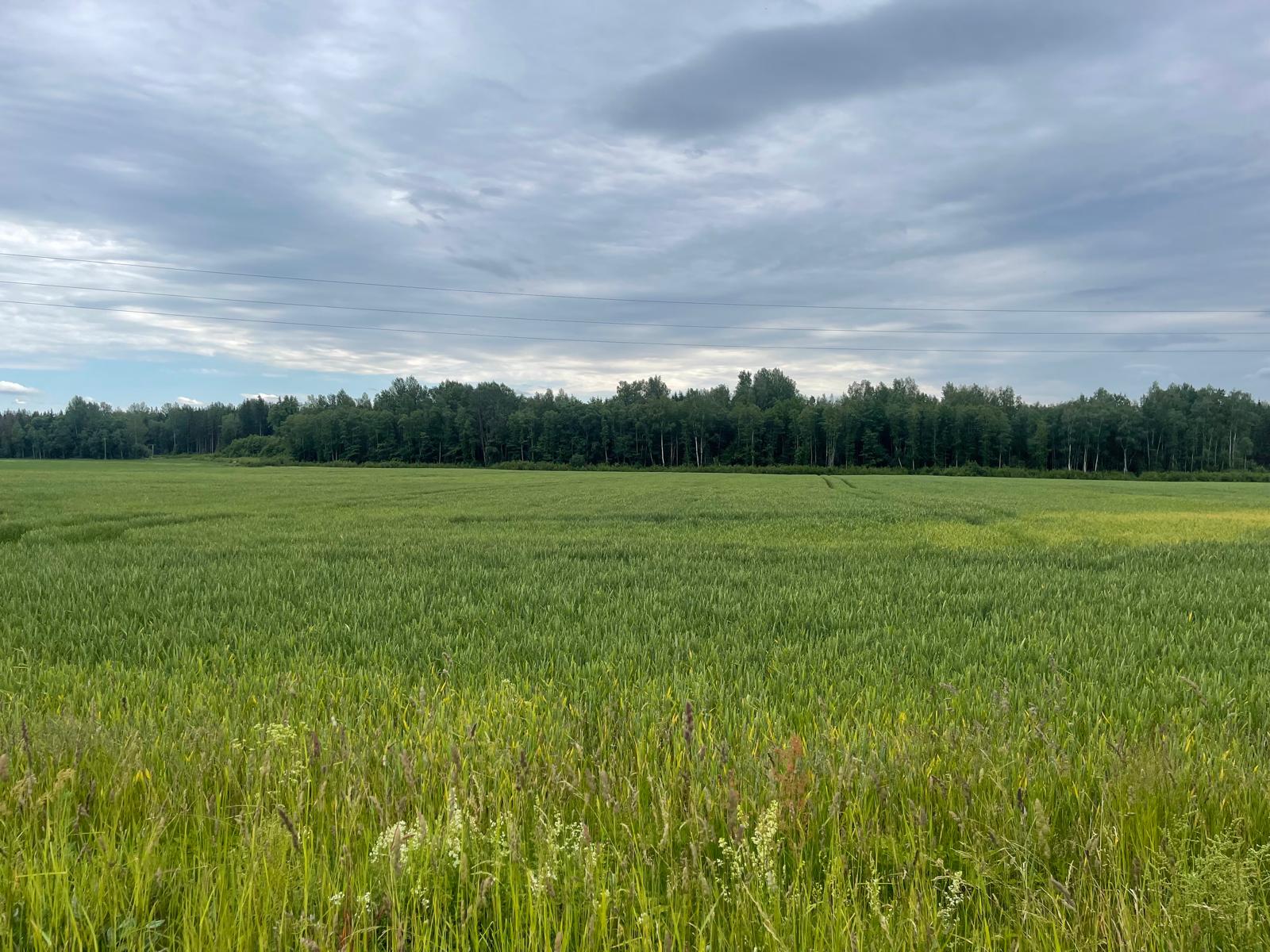 Land plot for sale, Jāņogas - Image 1