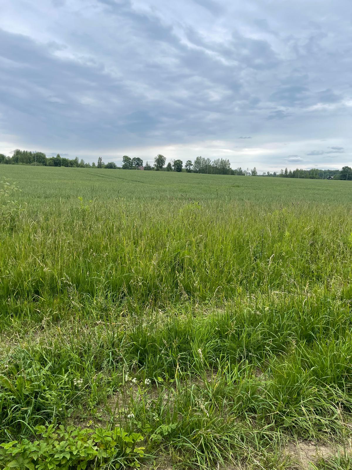 Land plot for sale, Jāņogas - Image 1