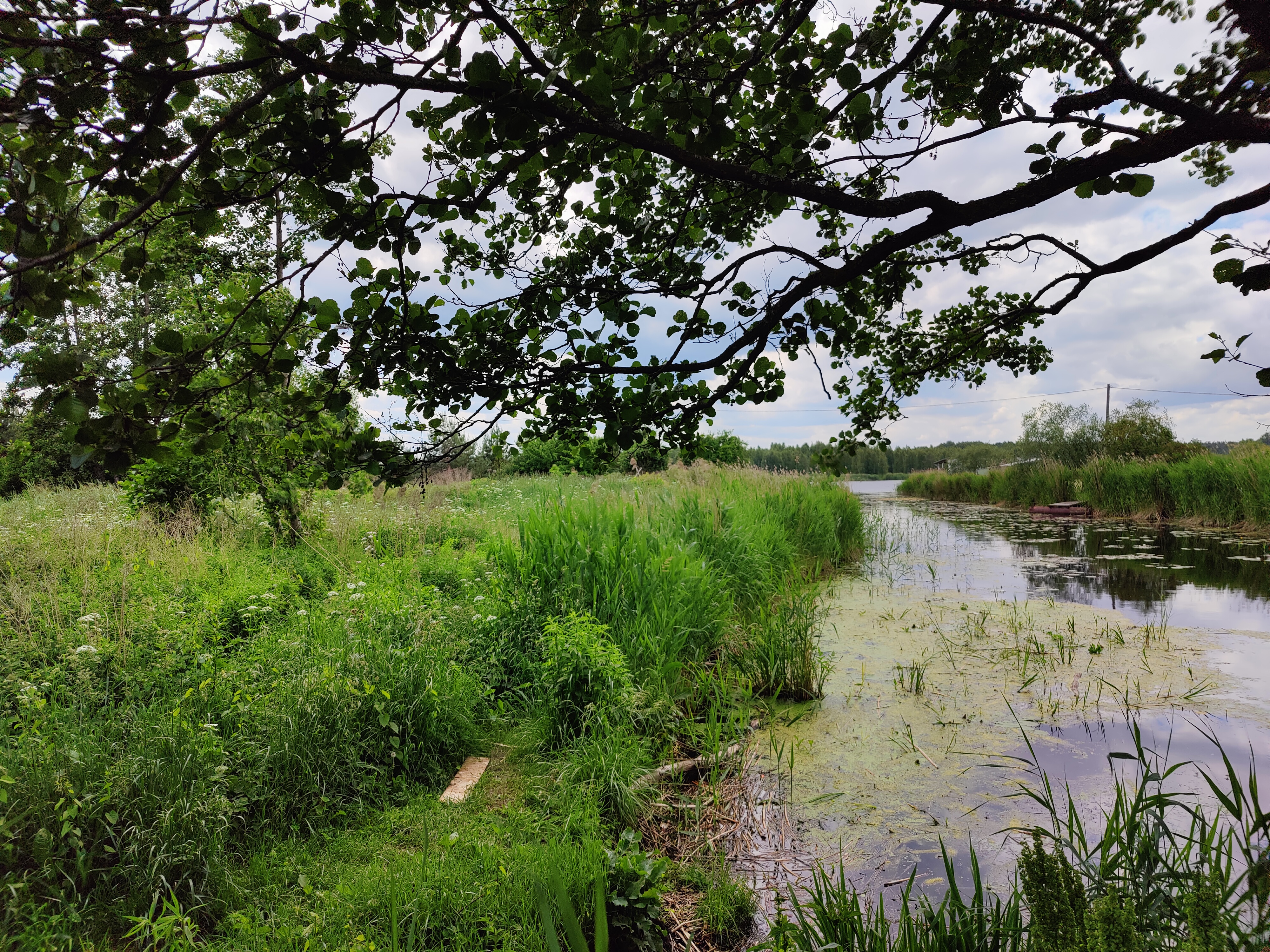 Pārdod zemi, Rubeņi - Attēls 1