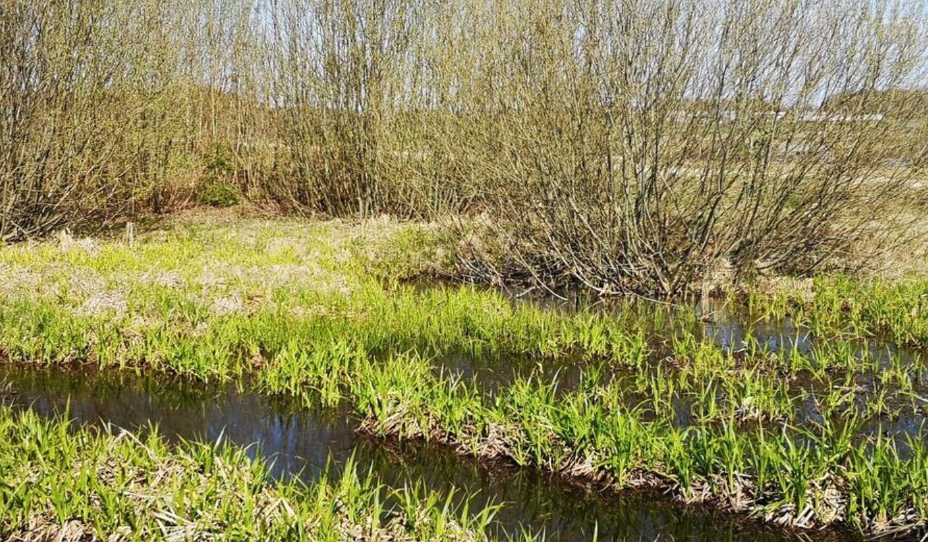 Land plot for sale, Jaunzemnieki street - Image 1