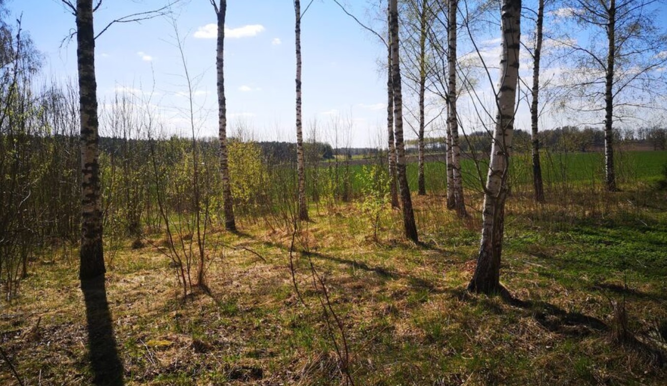 Land plot for sale, Jaunzemnieki street - Image 1