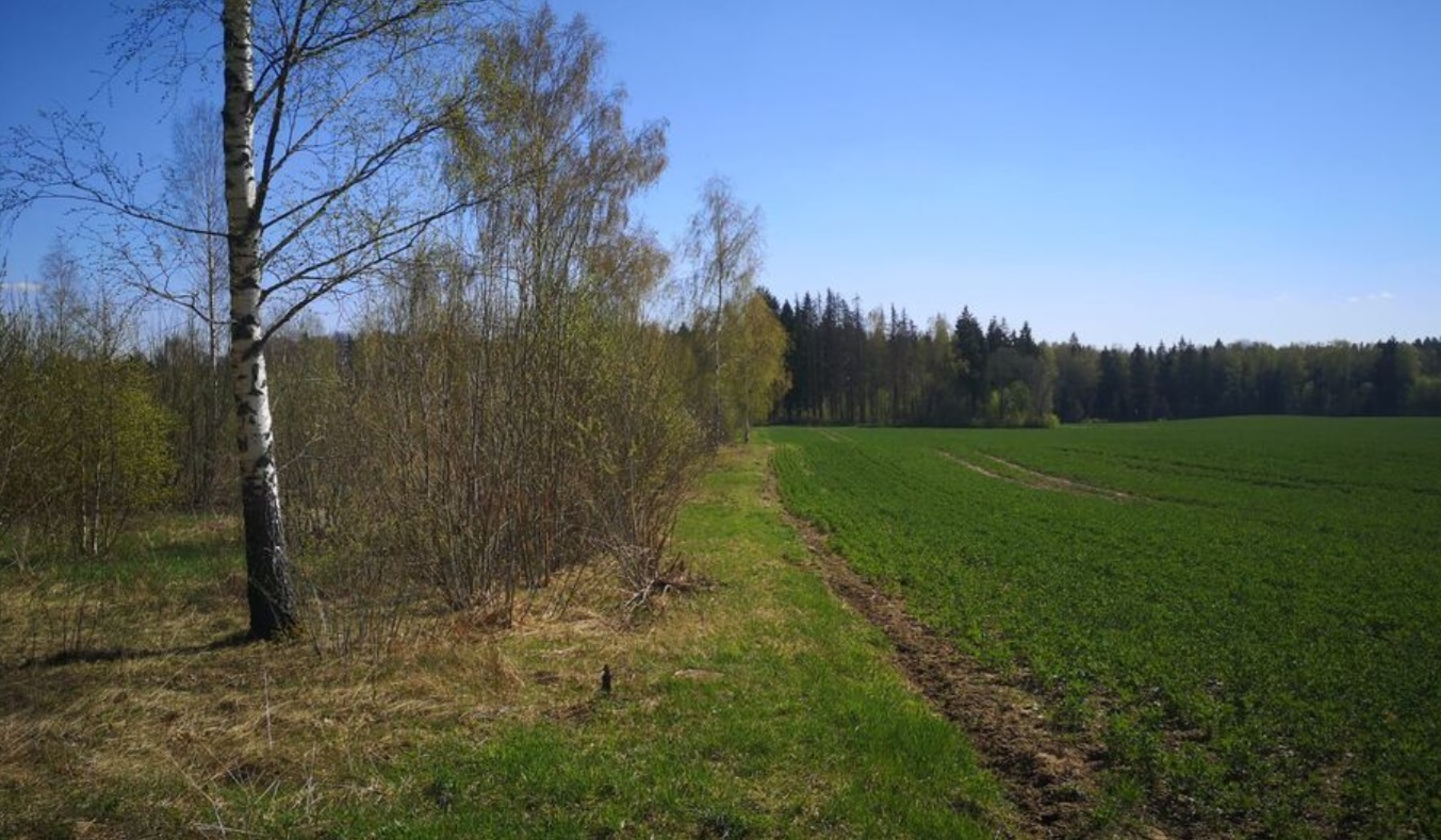 Land plot for sale, Jaunzemnieki street - Image 1