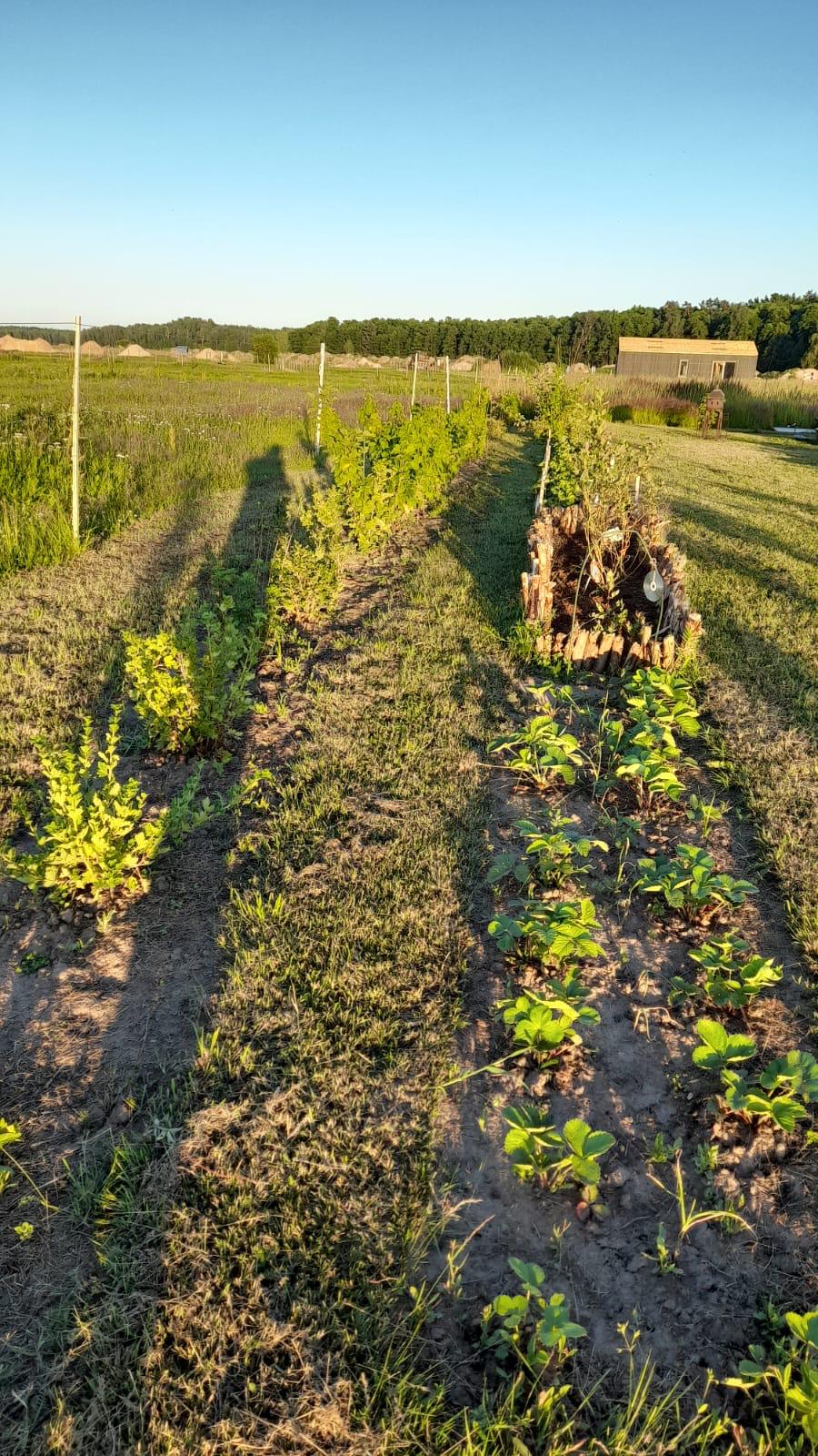 Land plot for sale, Bērziņu street - Image 1