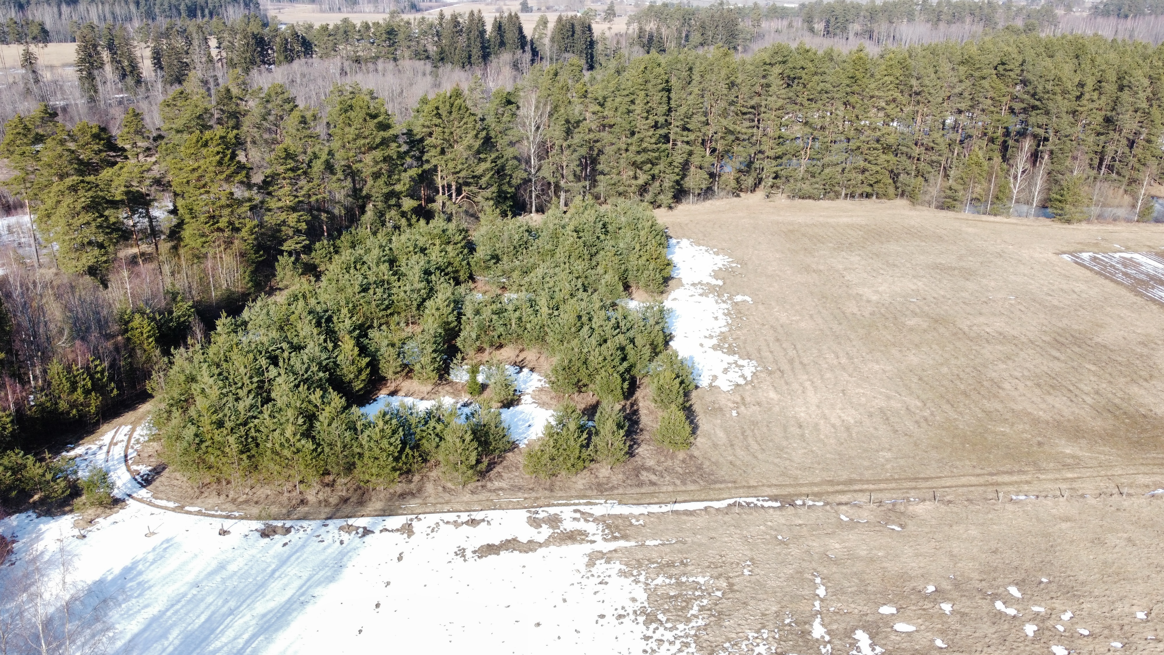 Land plot for sale, Ceriņu street - Image 1