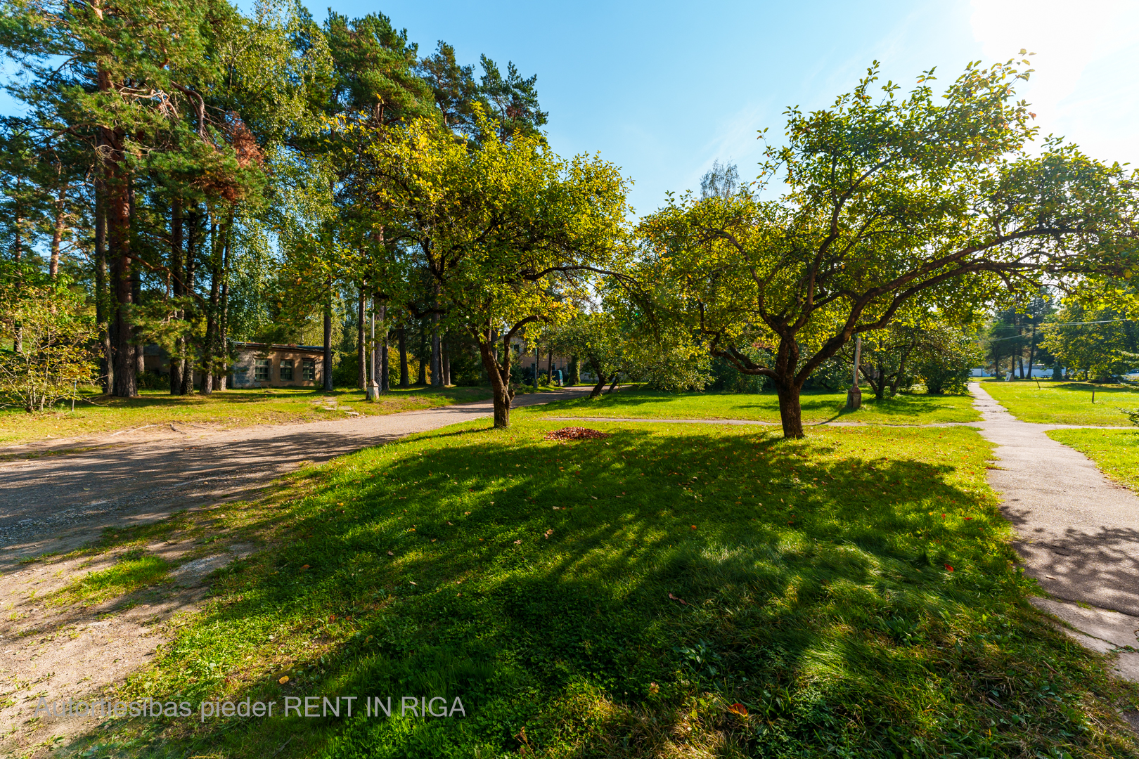 Office for rent, Šmerļa street - Image 1