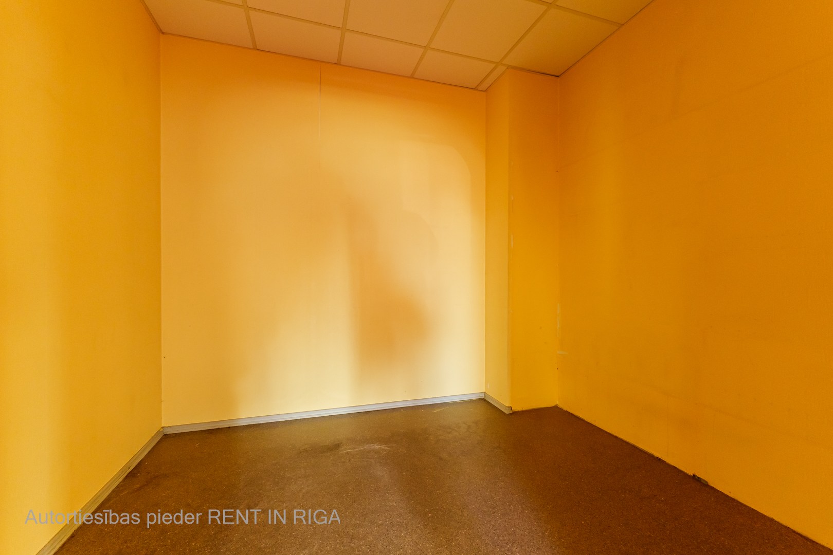 Retail premises for rent, Dzelzavas street - Image 1