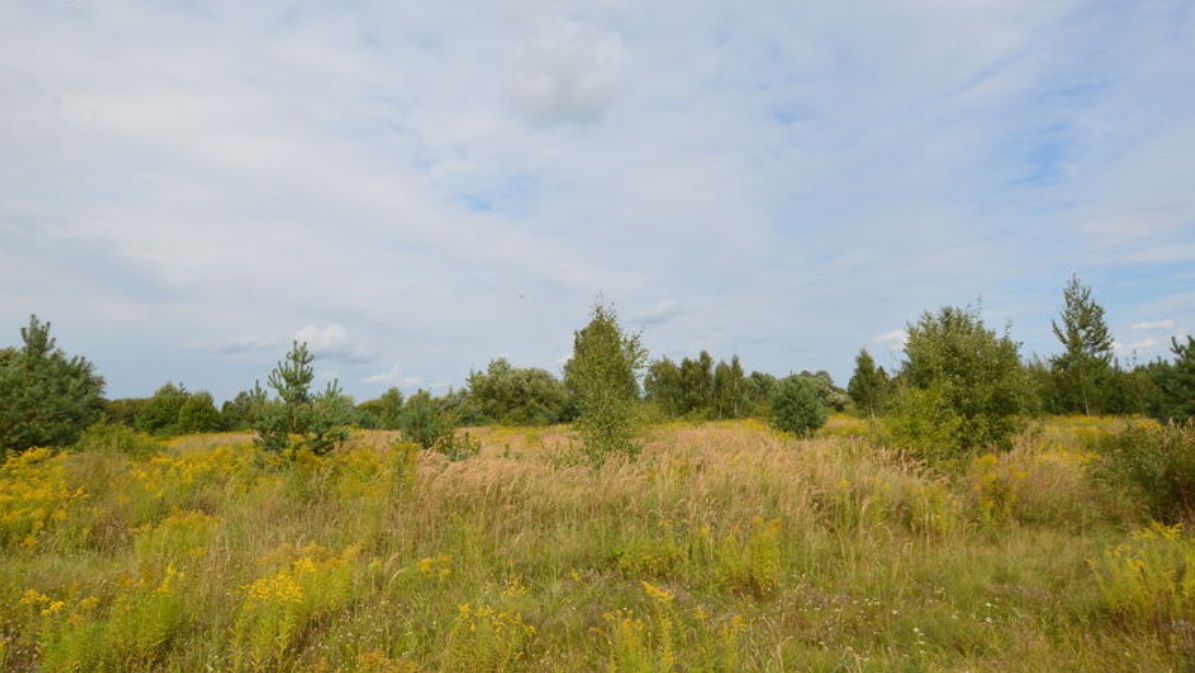 Land plot for sale, Jāņogu street - Image 1