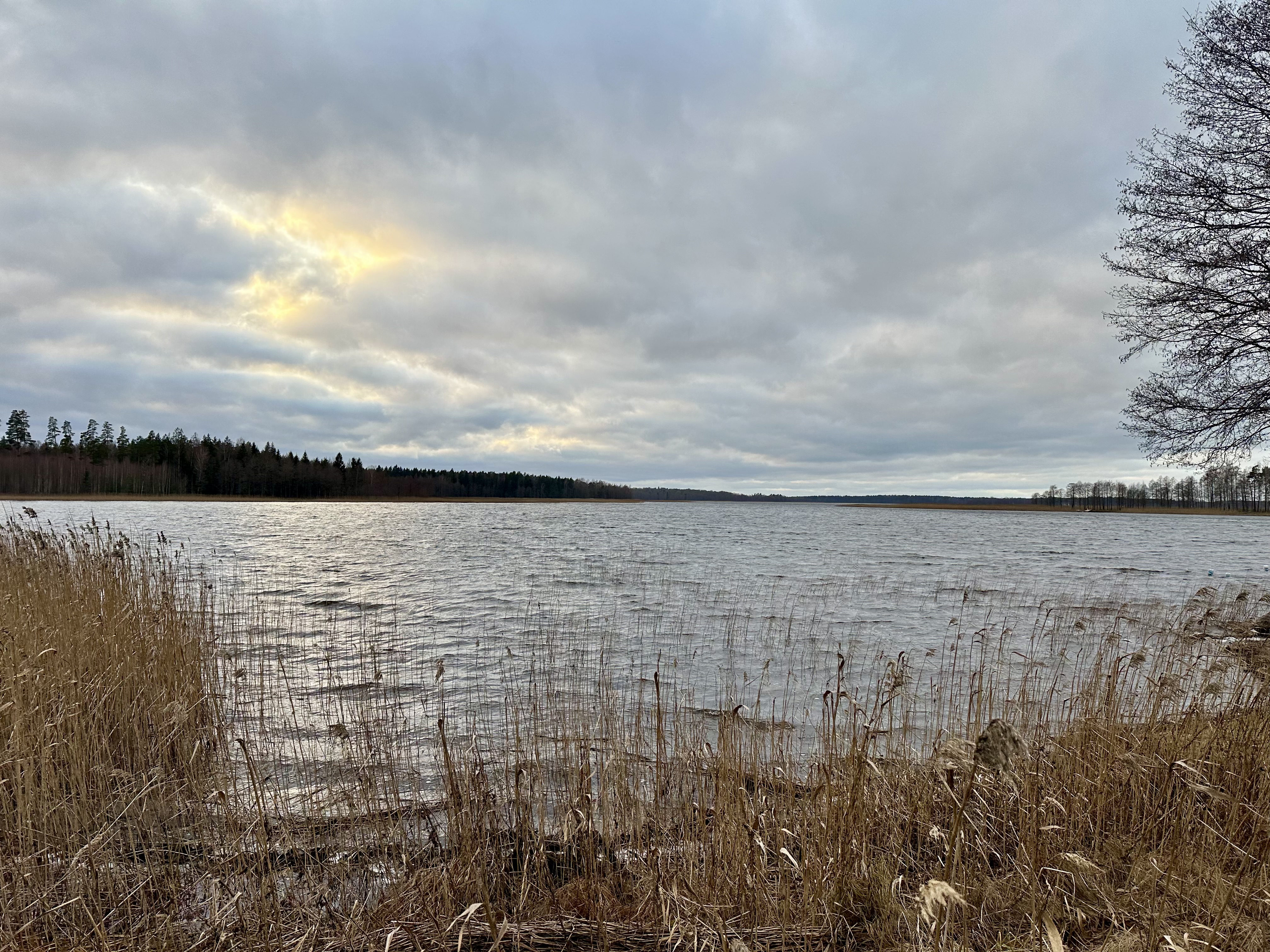 Land plot for sale, Godeļbirzes - Image 1