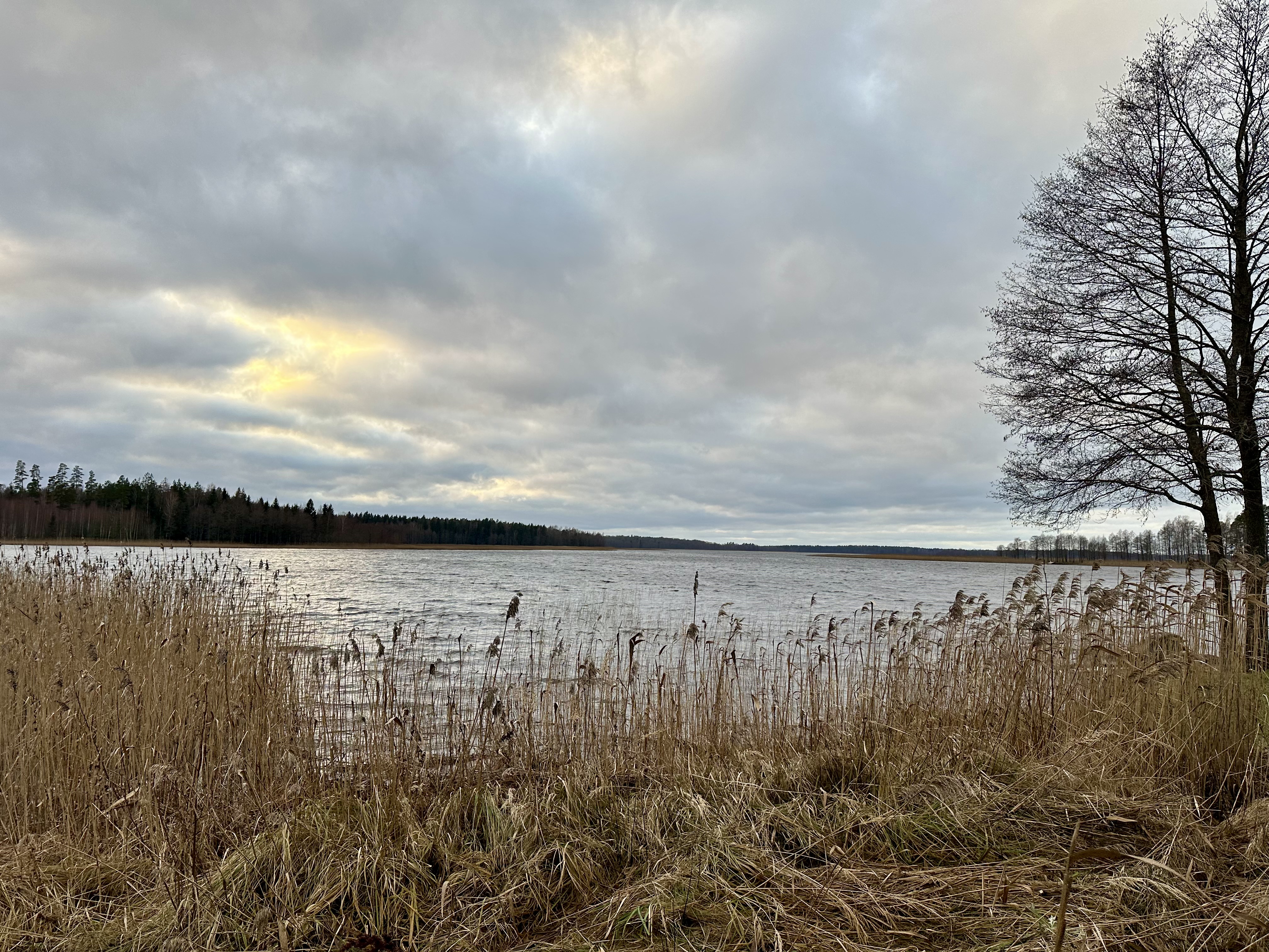 Land plot for sale, Godeļbirzes - Image 1