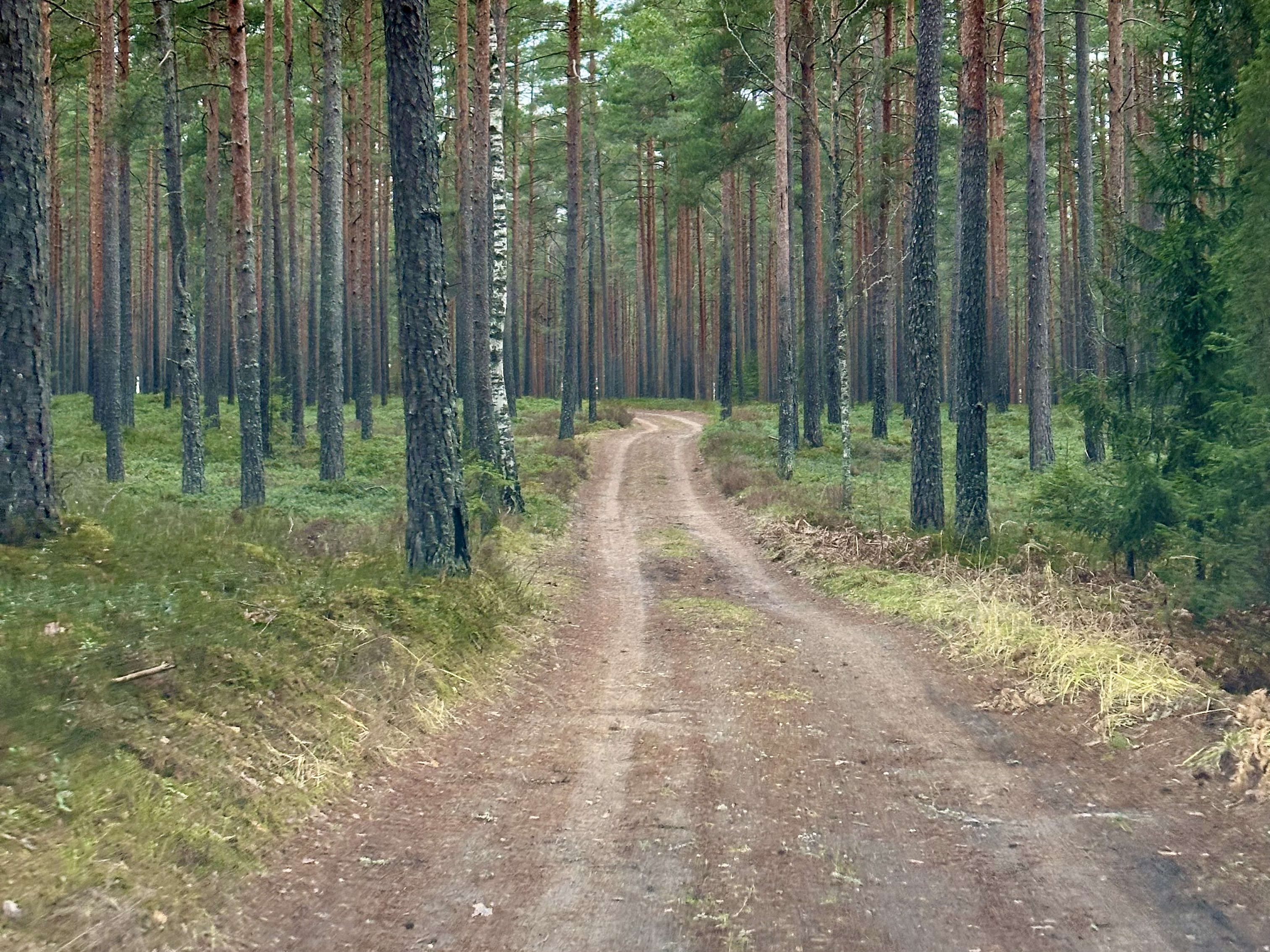 Land plot for sale, Godeļbirzes - Image 1