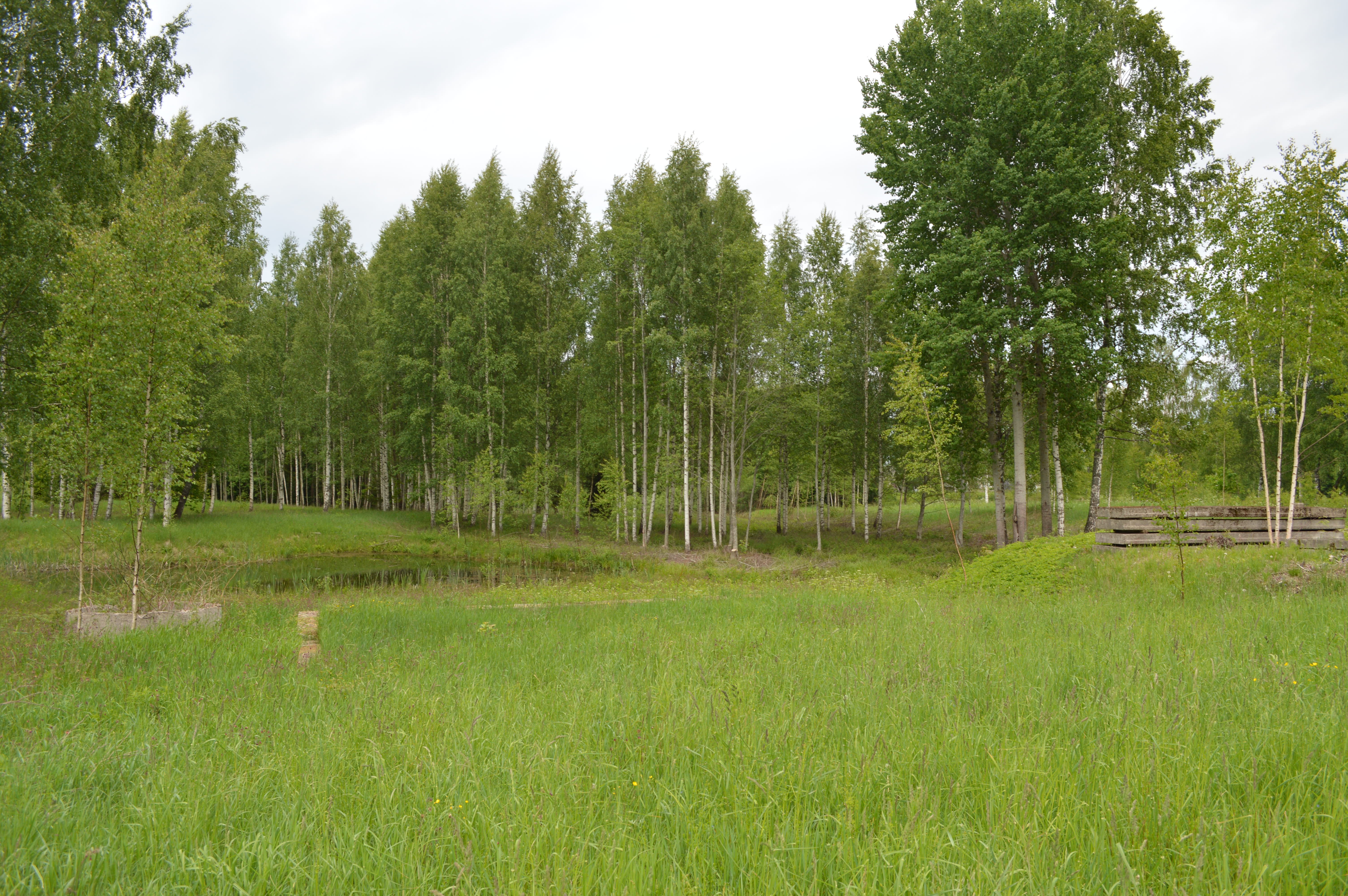 Pārdod māju, Zamostjes iela - Attēls 1