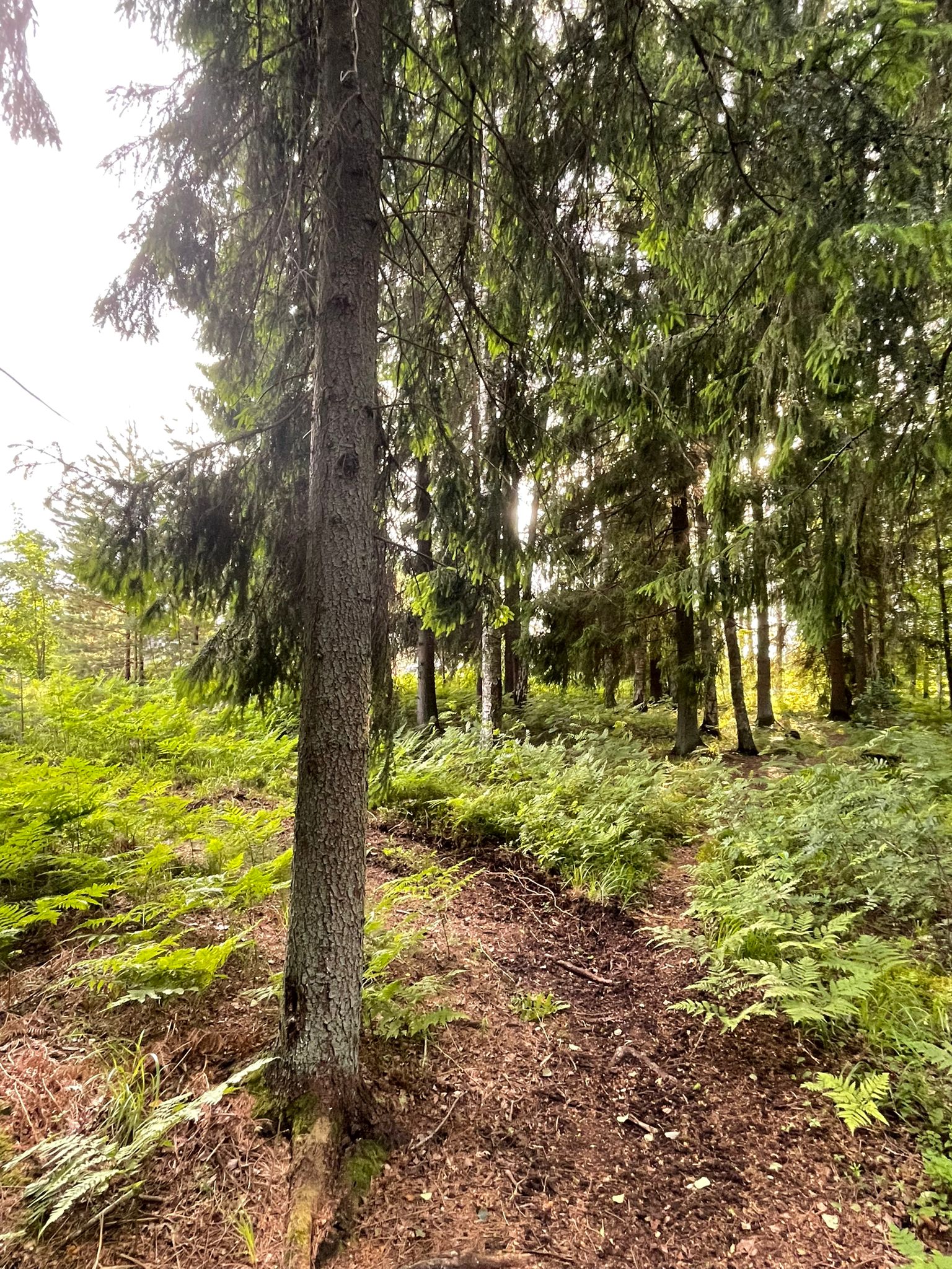Land plot for sale, Atlantika street - Image 1