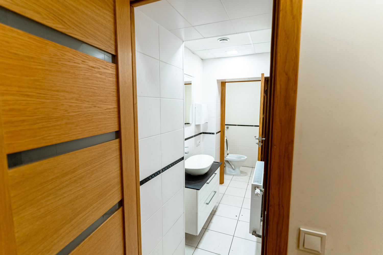 Property building for sale, Zilānu street - Image 1