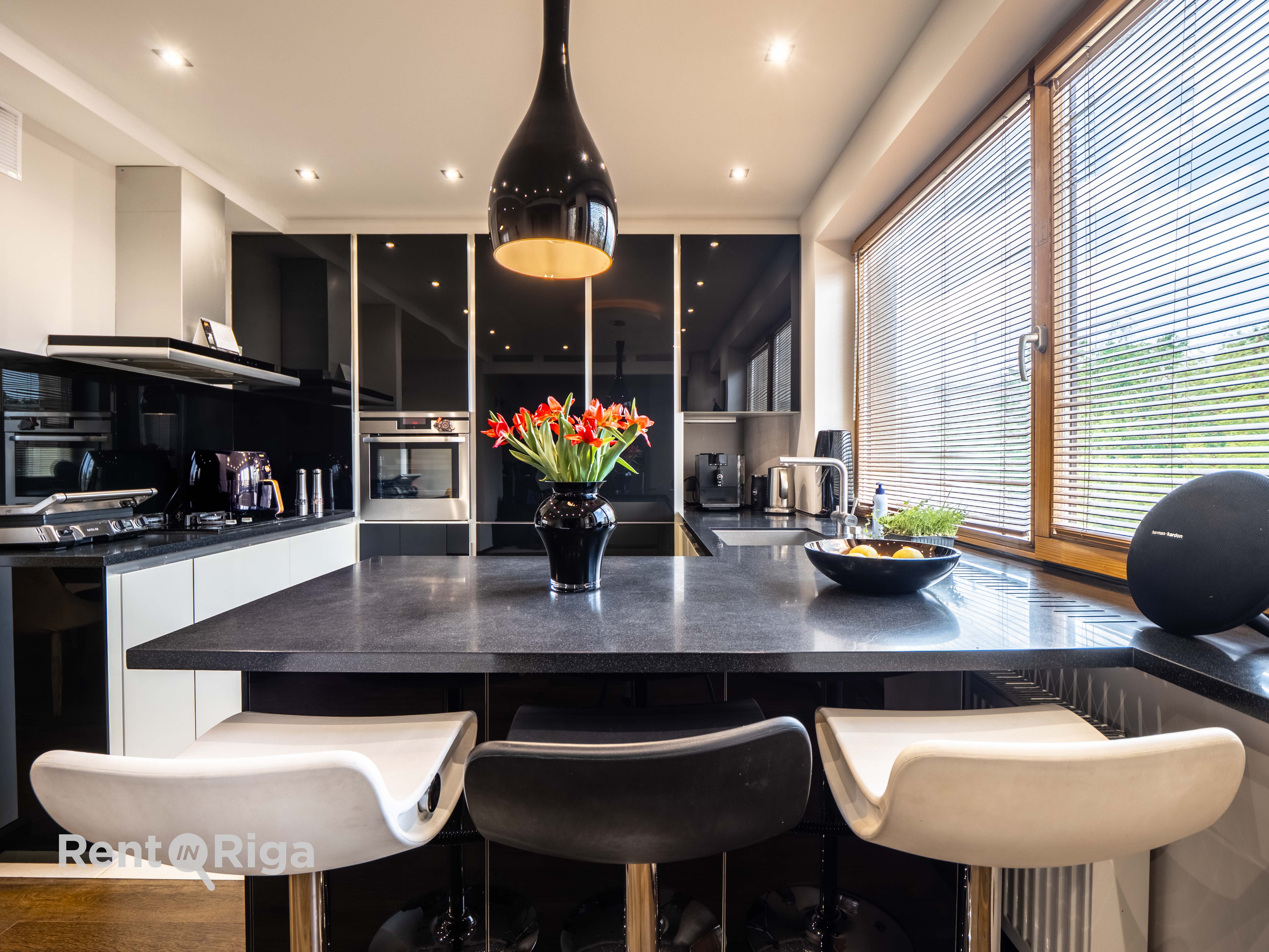 Izīrē dzīvokli, Vēžu iela 1 - Attēls 1