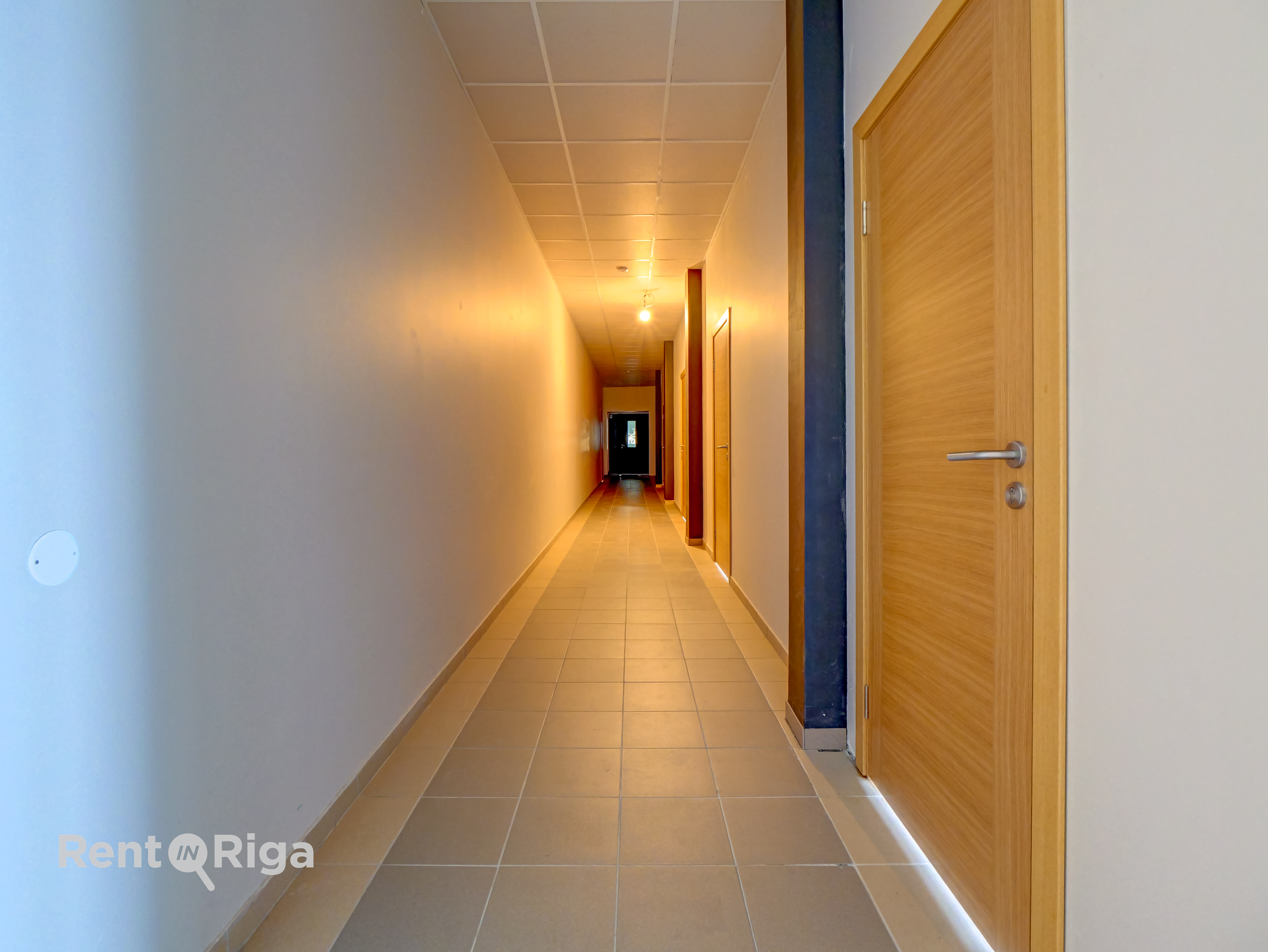 Iznomā biroju, Tēraudlietuves iela - Attēls 1
