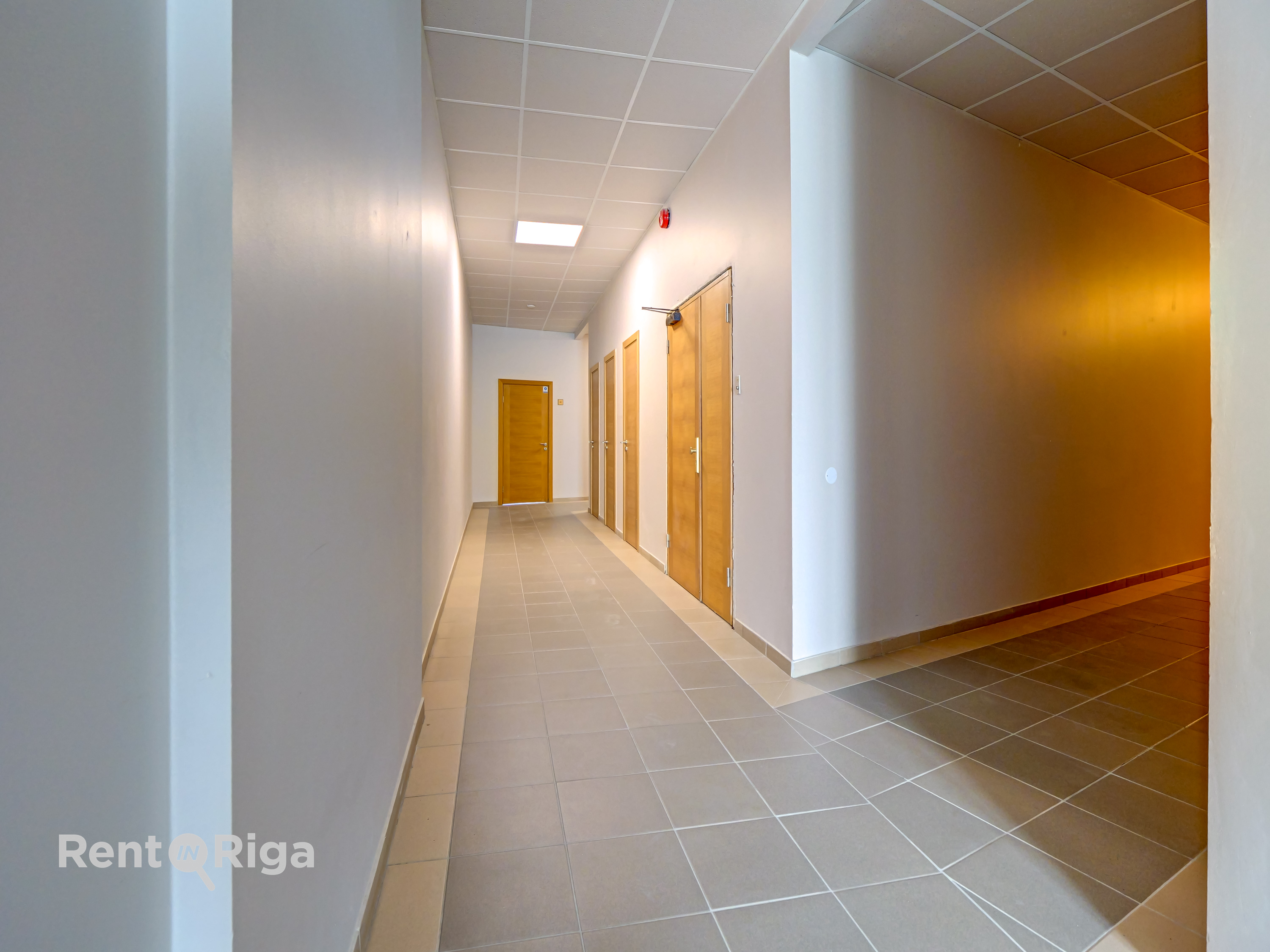 Iznomā biroju, Tēraudlietuves iela - Attēls 1