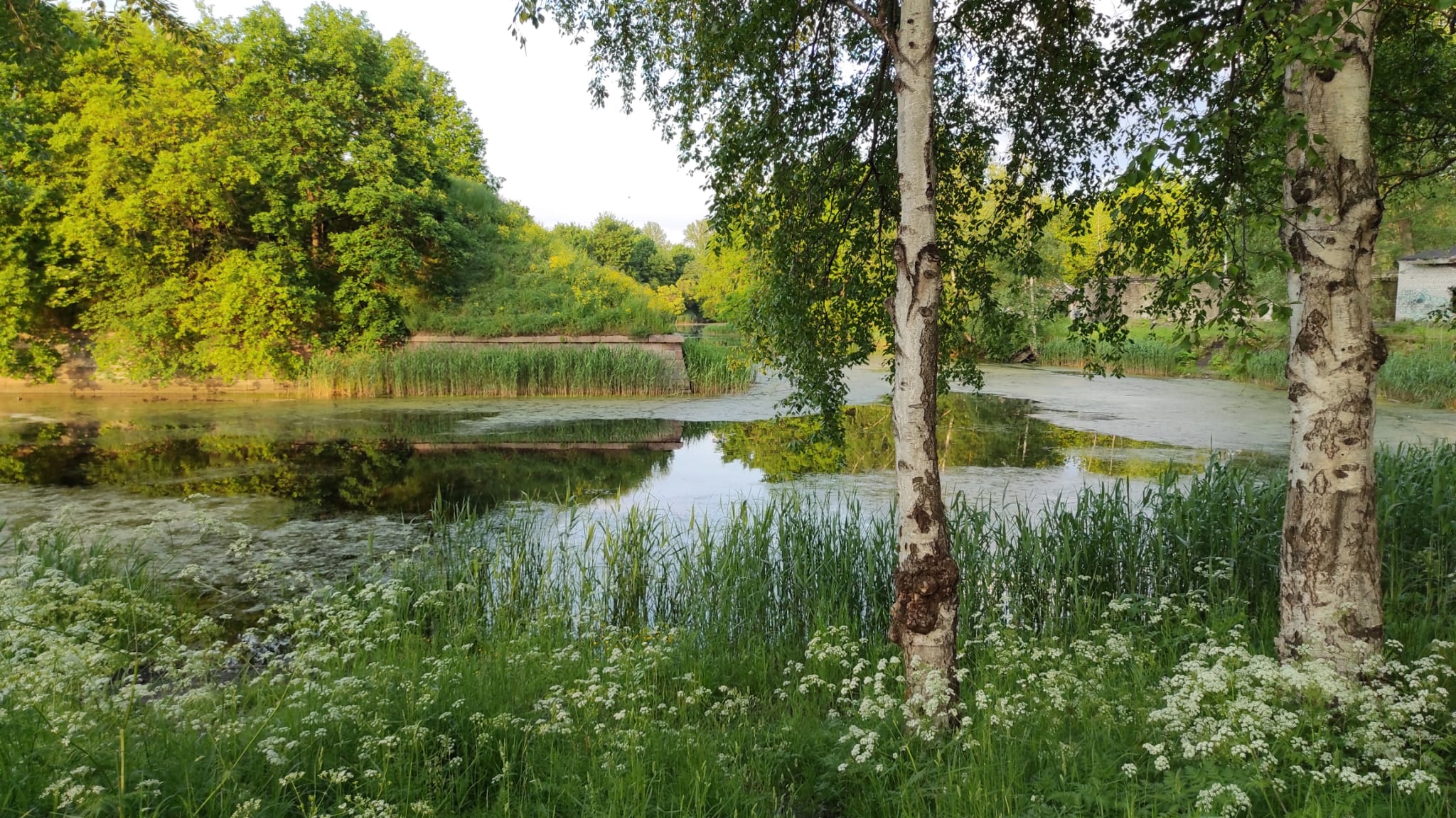 Investīciju objekts, Flotes iela - Attēls 1