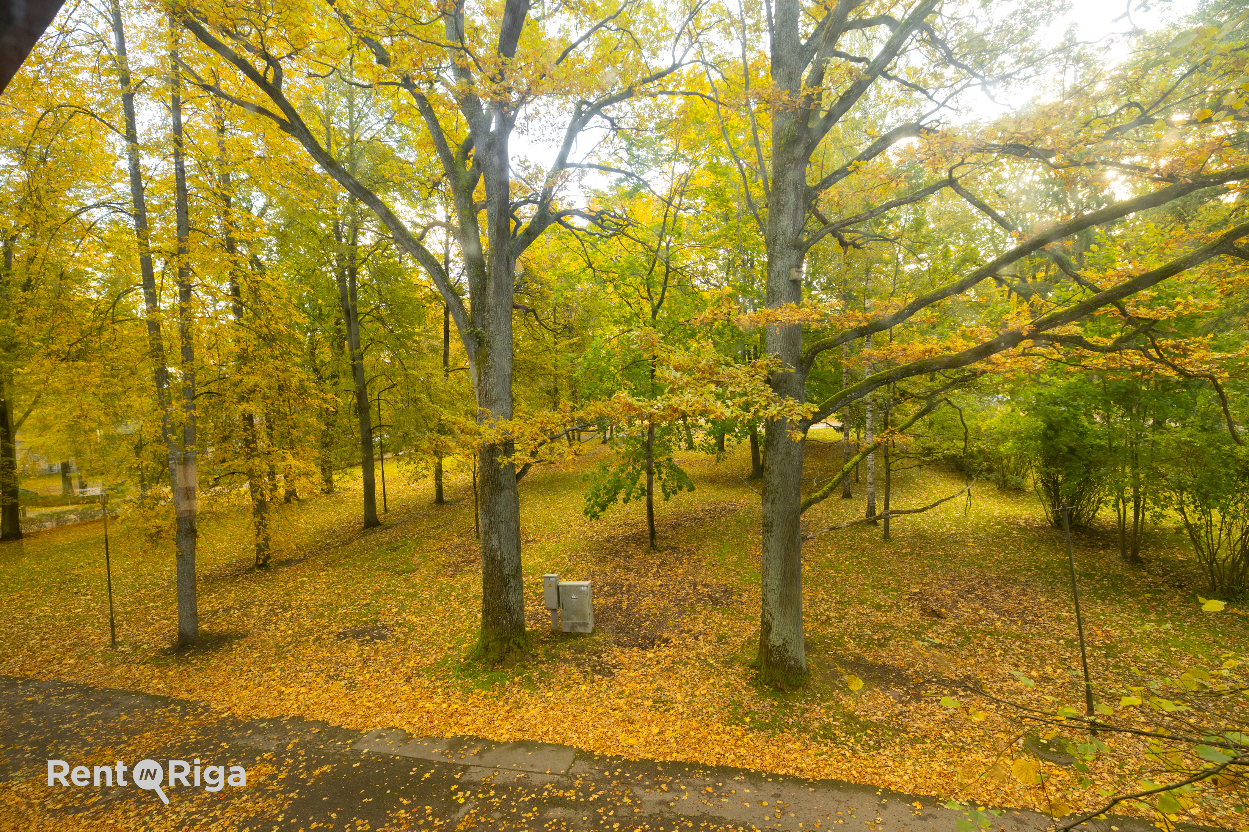 Investment property, Vienības gatve - Image 1