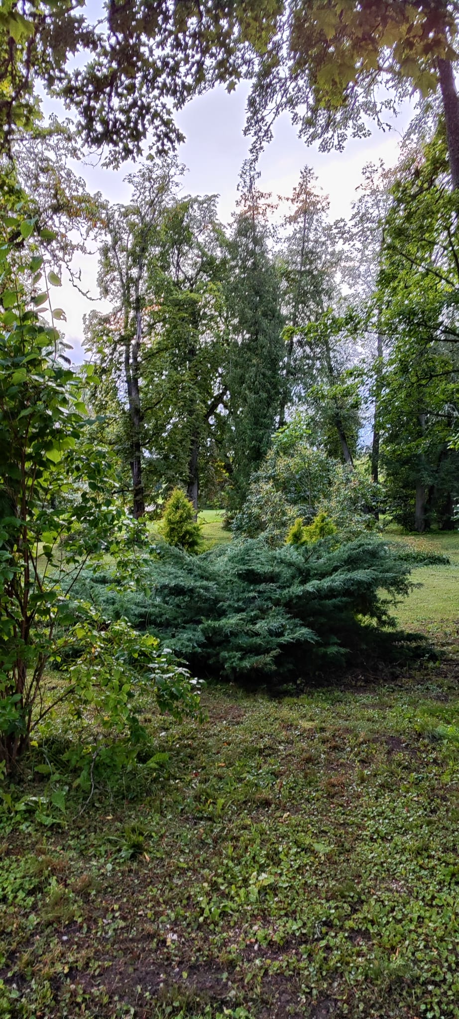 Продают дом, улица Kaķīši - Изображение 1