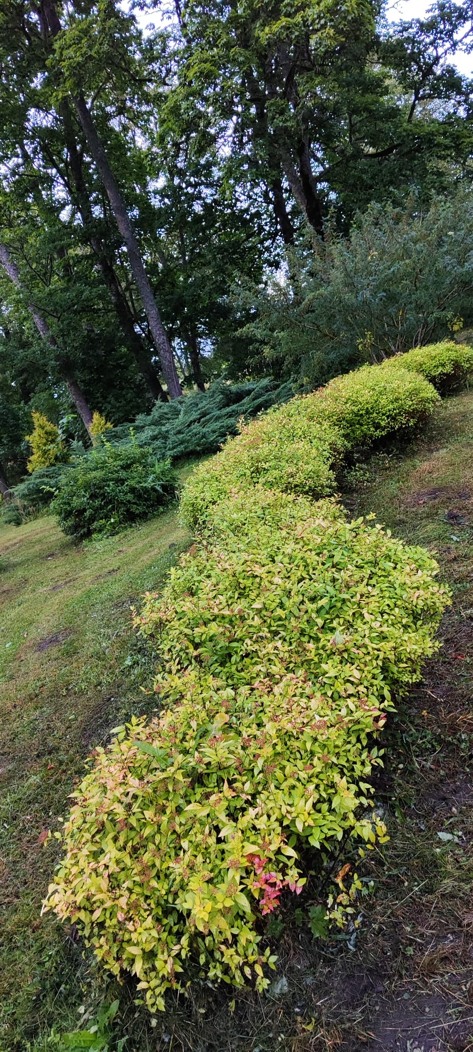 Продают дом, улица Kaķīši - Изображение 1