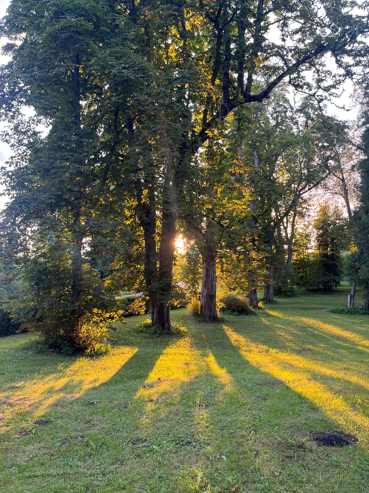 Продают дом, улица Kaķīši - Изображение 1