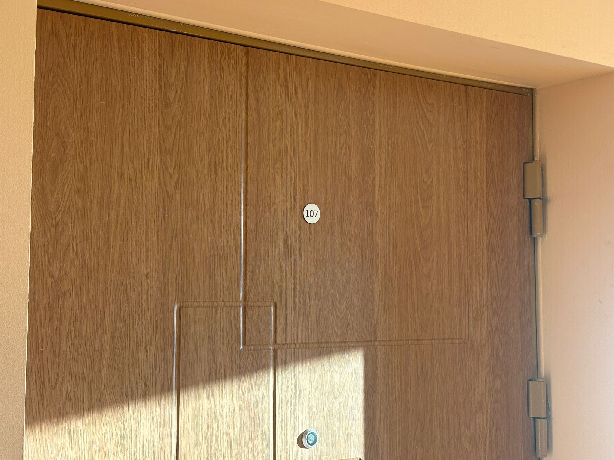 Izīrē dzīvokli, Firsa Sadovņikova iela 31 - Attēls 1