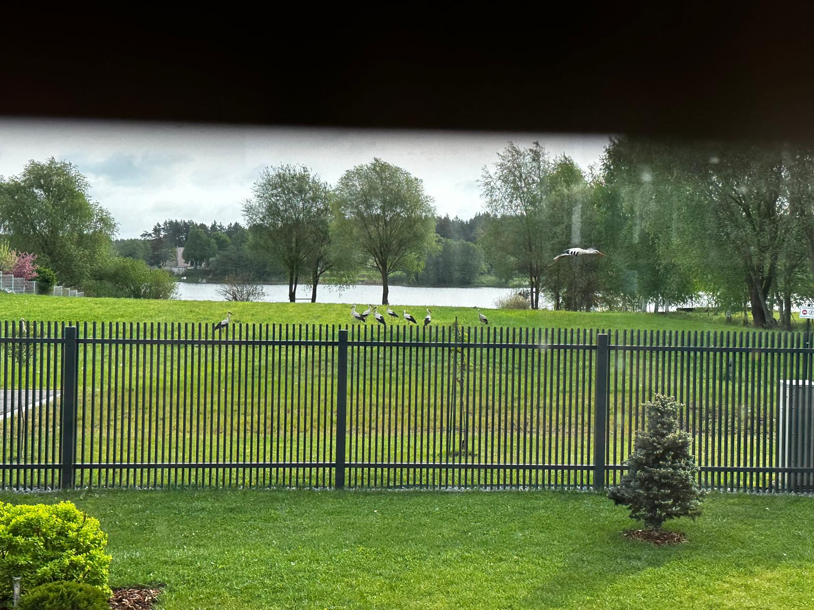 Продают дом, улица Gulbju - Изображение 1