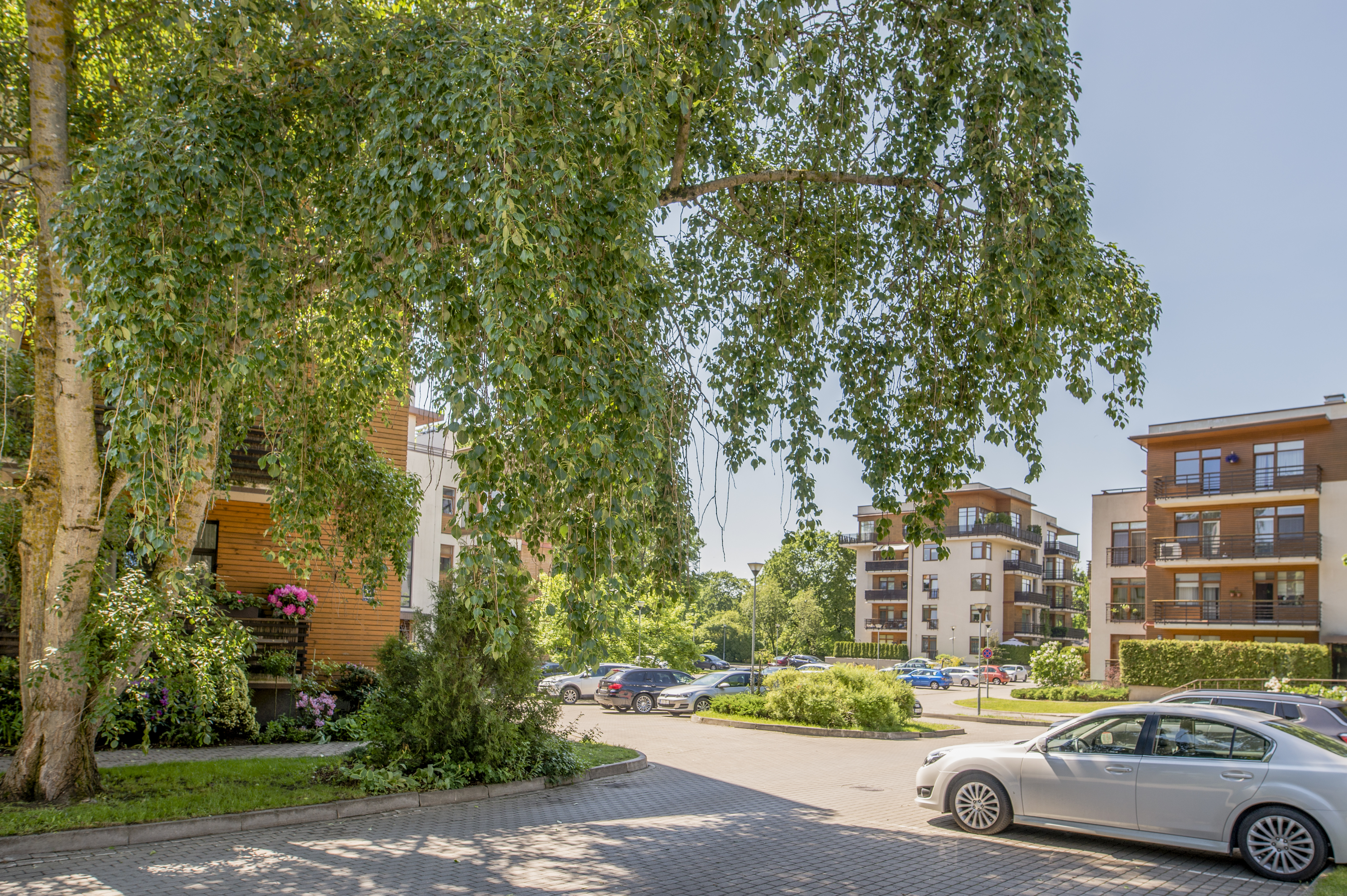 Izīrē dzīvokli, Zalves iela 47 - Attēls 1