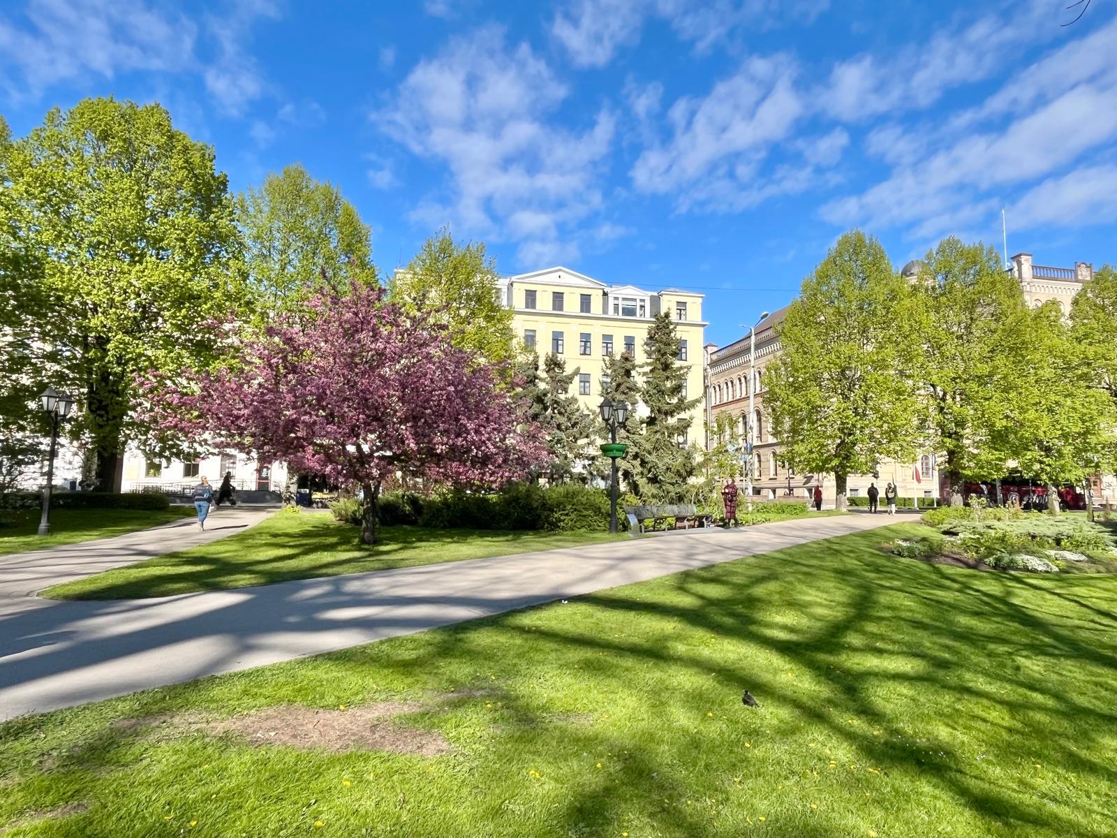 Pārdod dzīvokli, Raiņa bulvāris 17 - Attēls 1