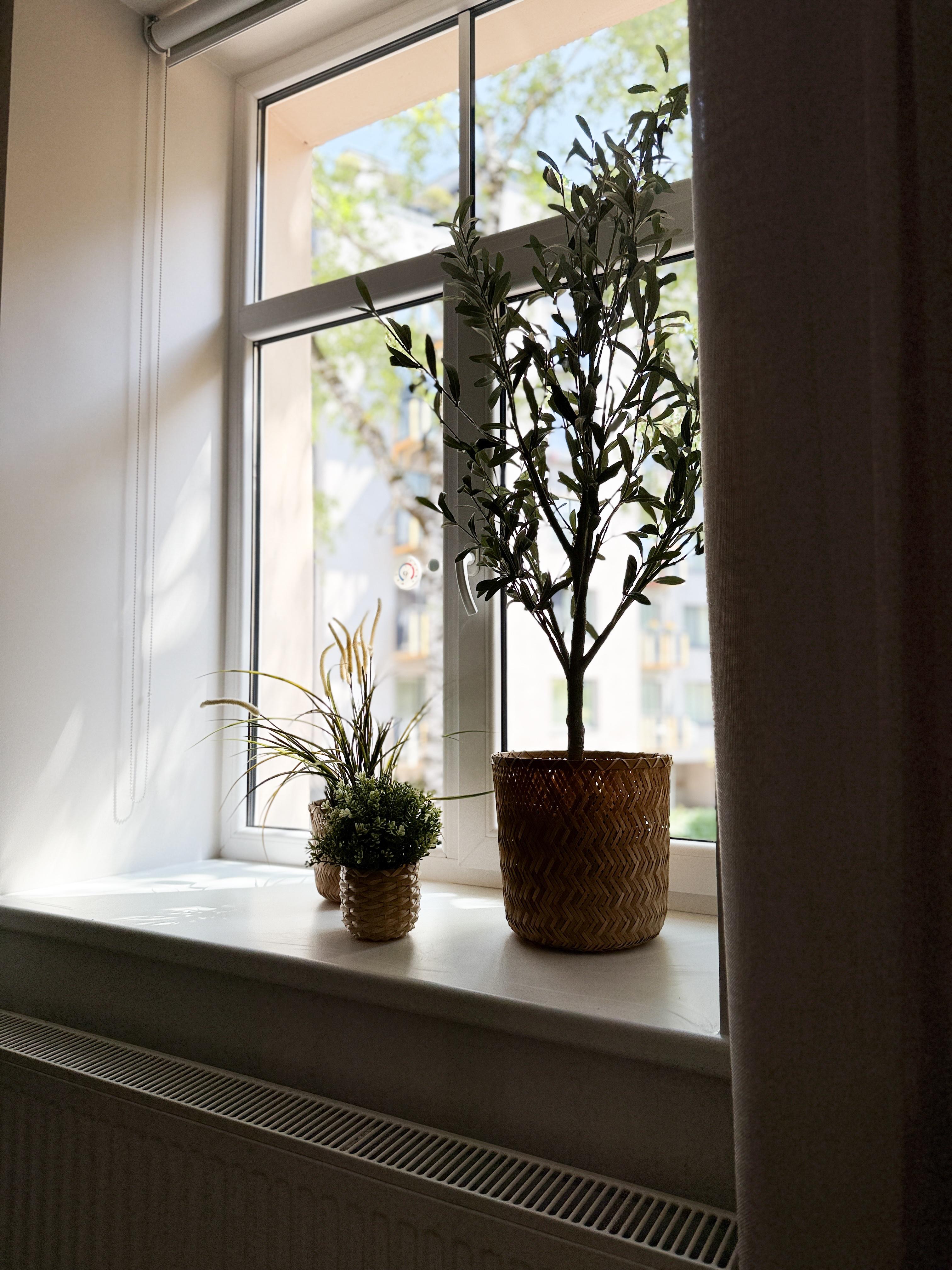 Сдают квартиру, улица Antonijas 16 - Изображение 1