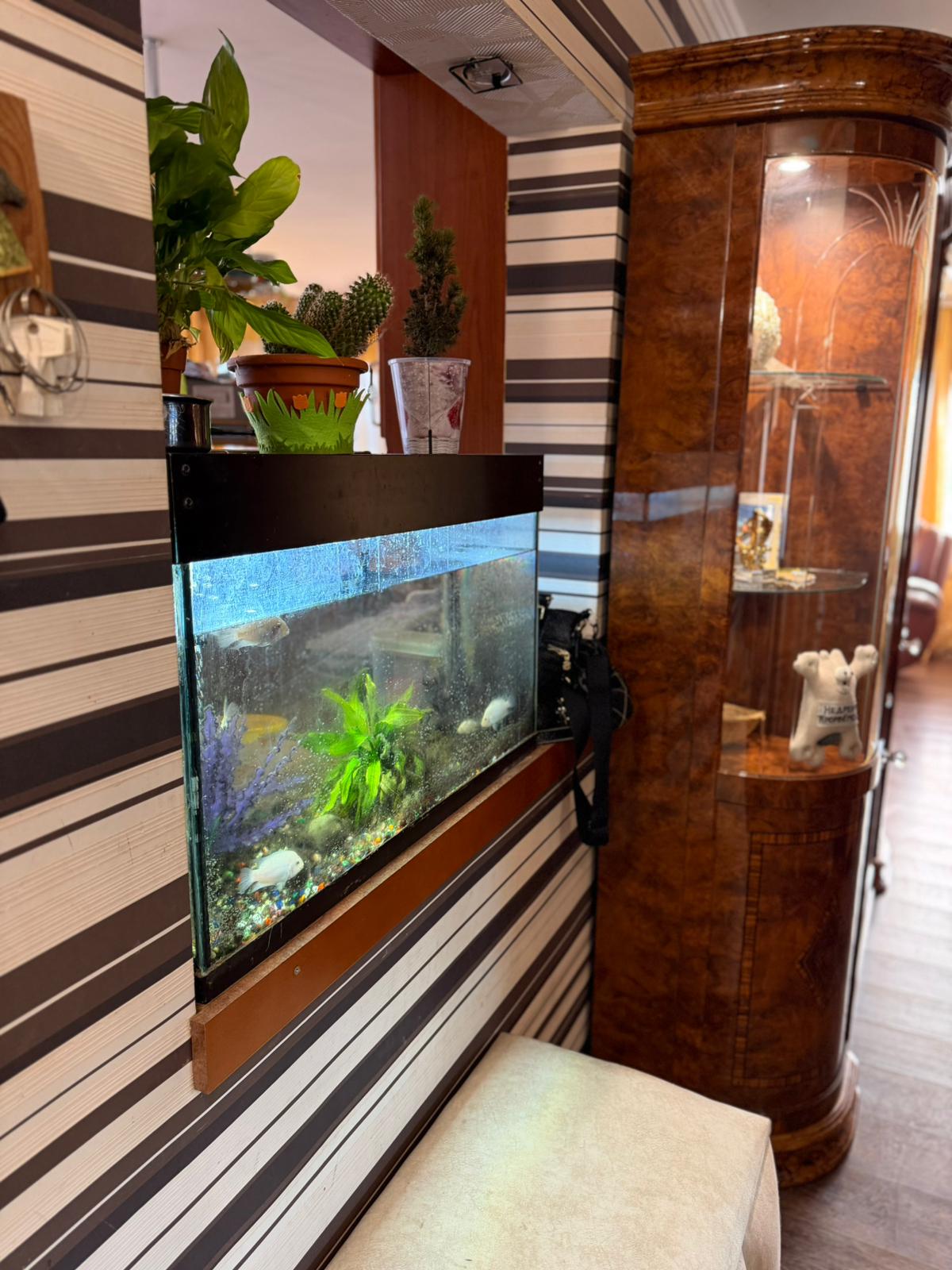 Pārdod māju, Ērkšķu iela iela - Attēls 1