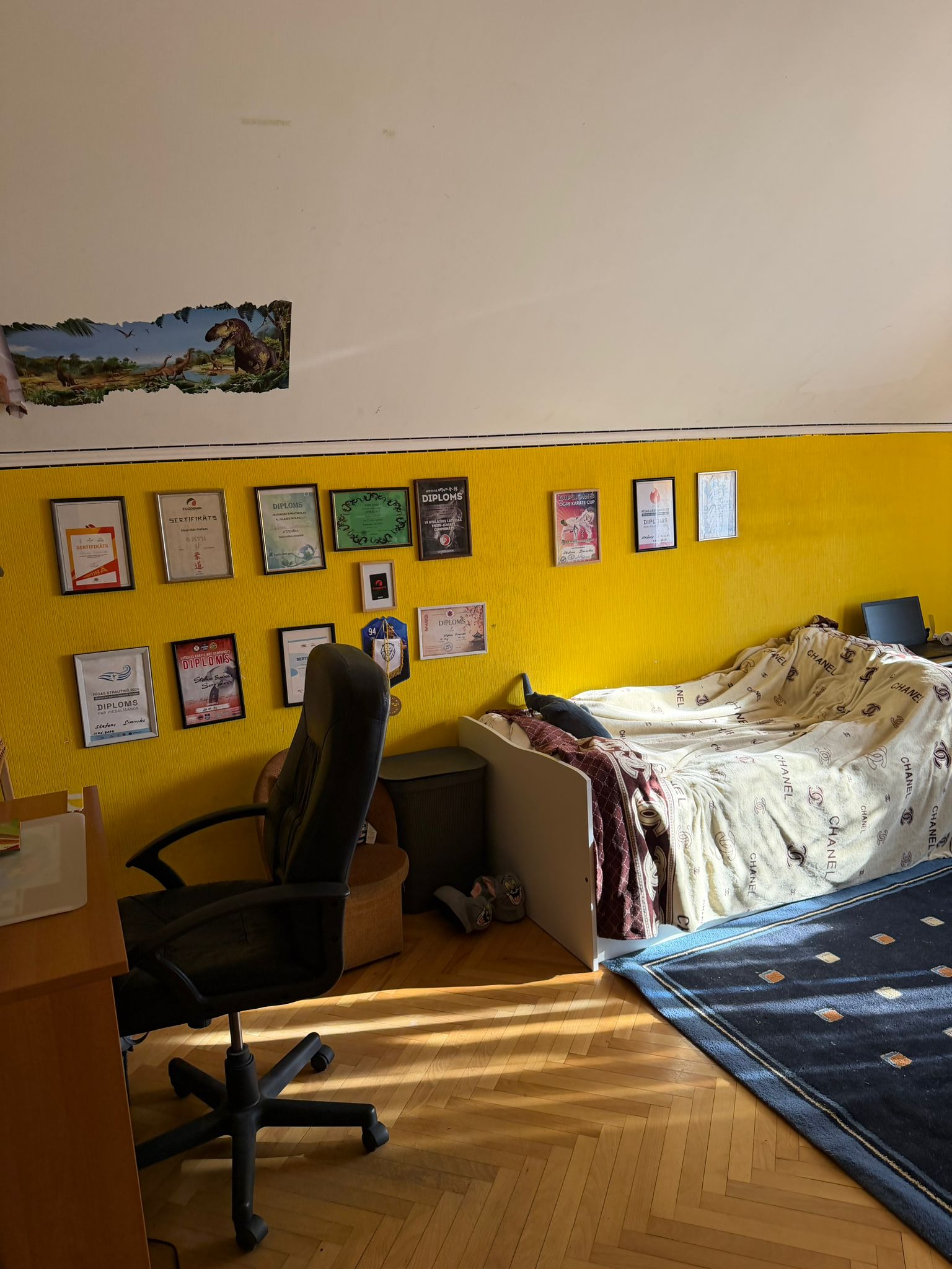 Pārdod māju, Ērkšķu iela iela - Attēls 1