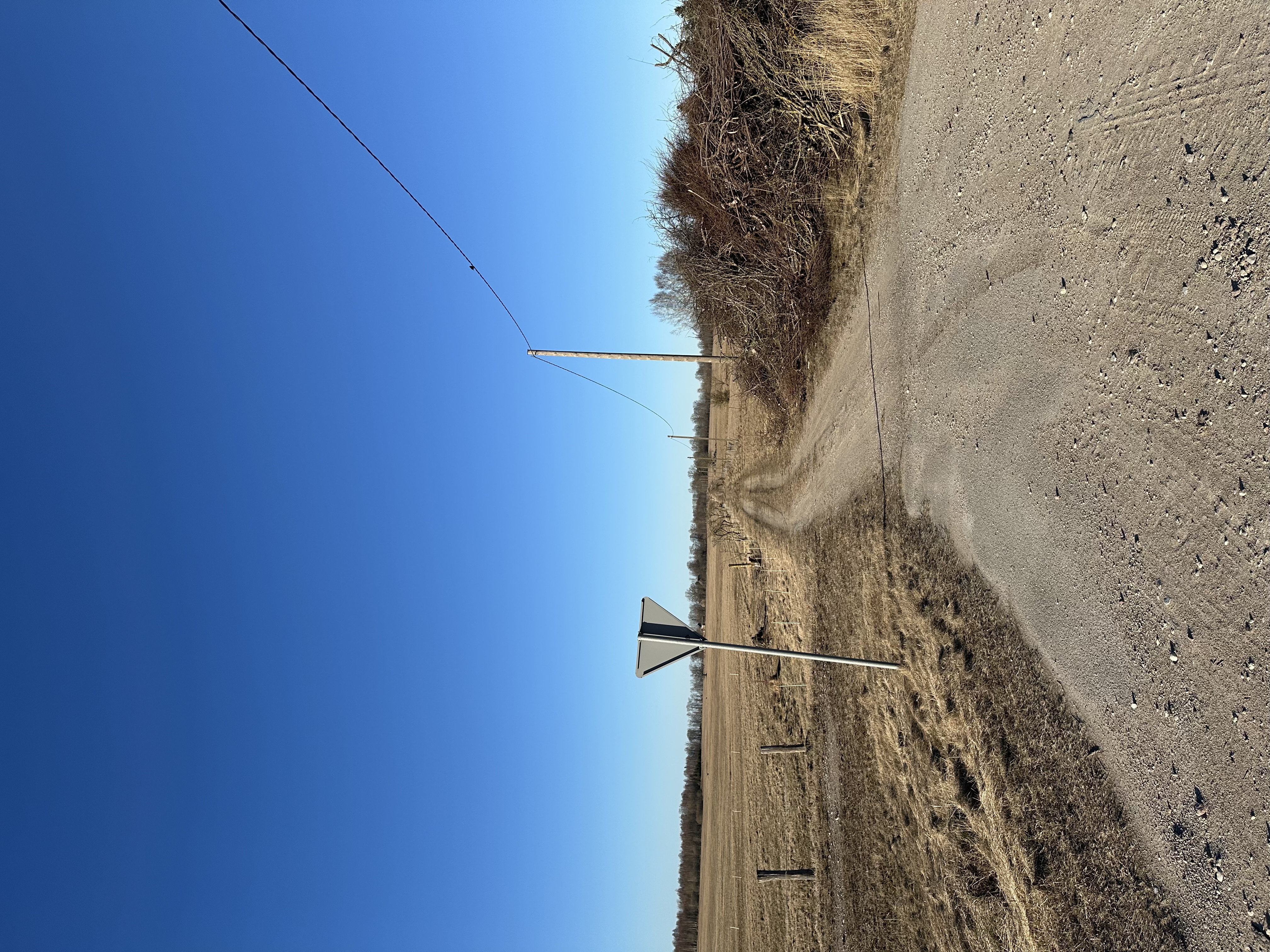 Pārdod zemi, Vīdale - Attēls 1